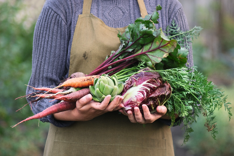 The Fourteen Healthiest Vegetables