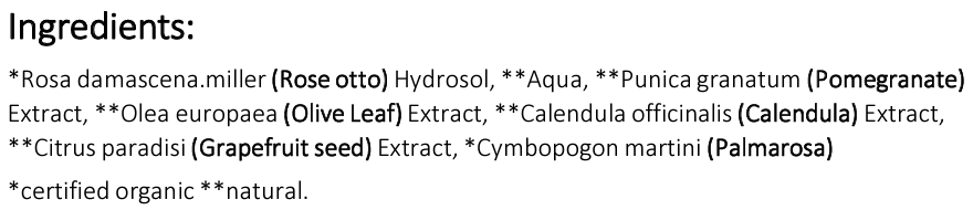 67456d85163ecrose otto SF.png