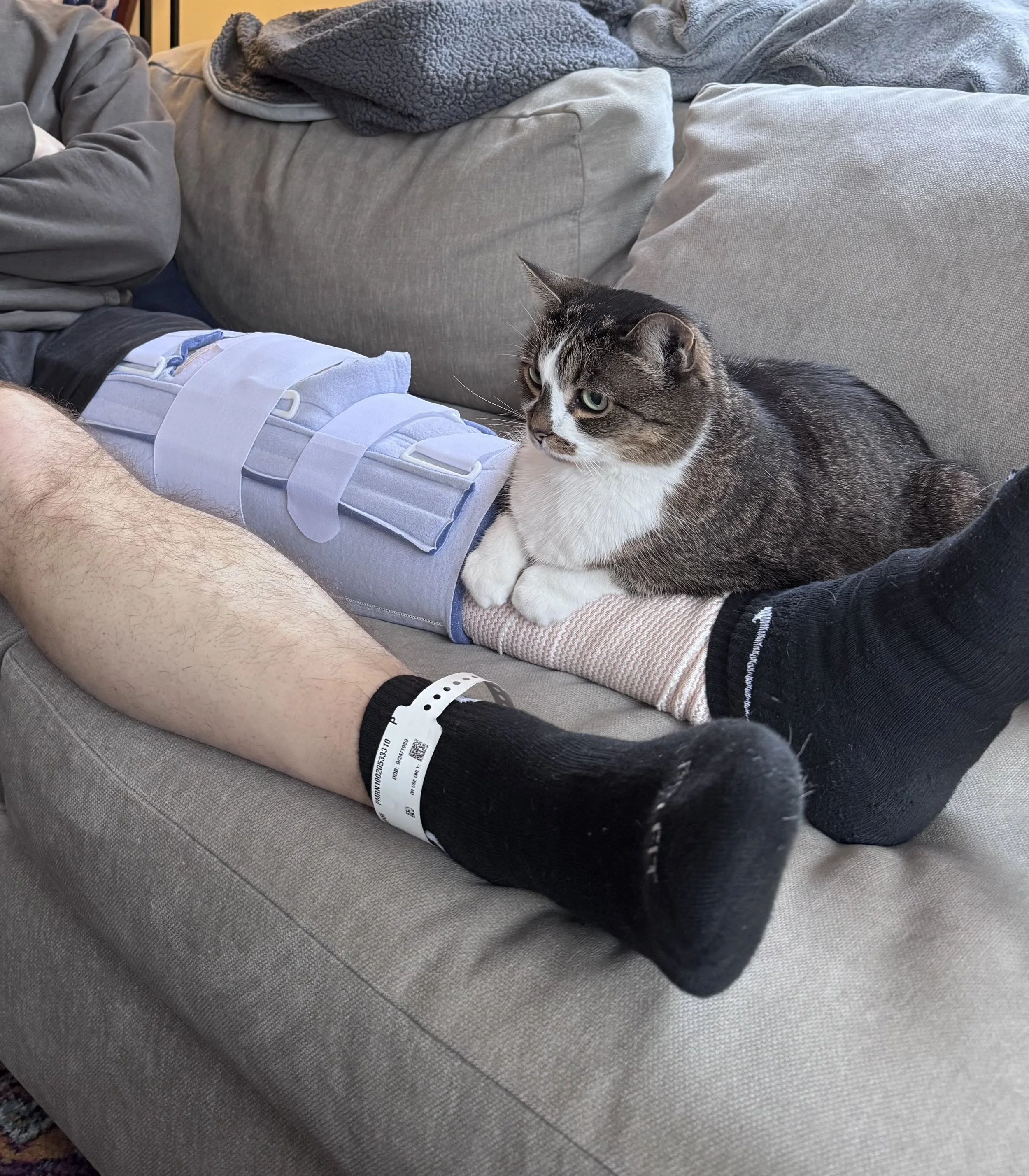 When life is LIFE-ing