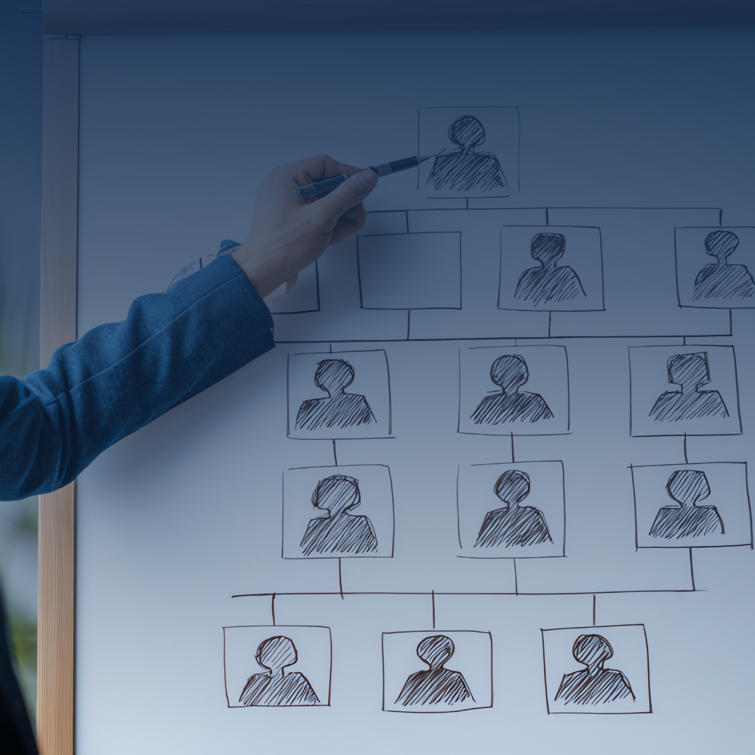 Hand drawing an organizational chart with sketches of people on a whiteboard.
