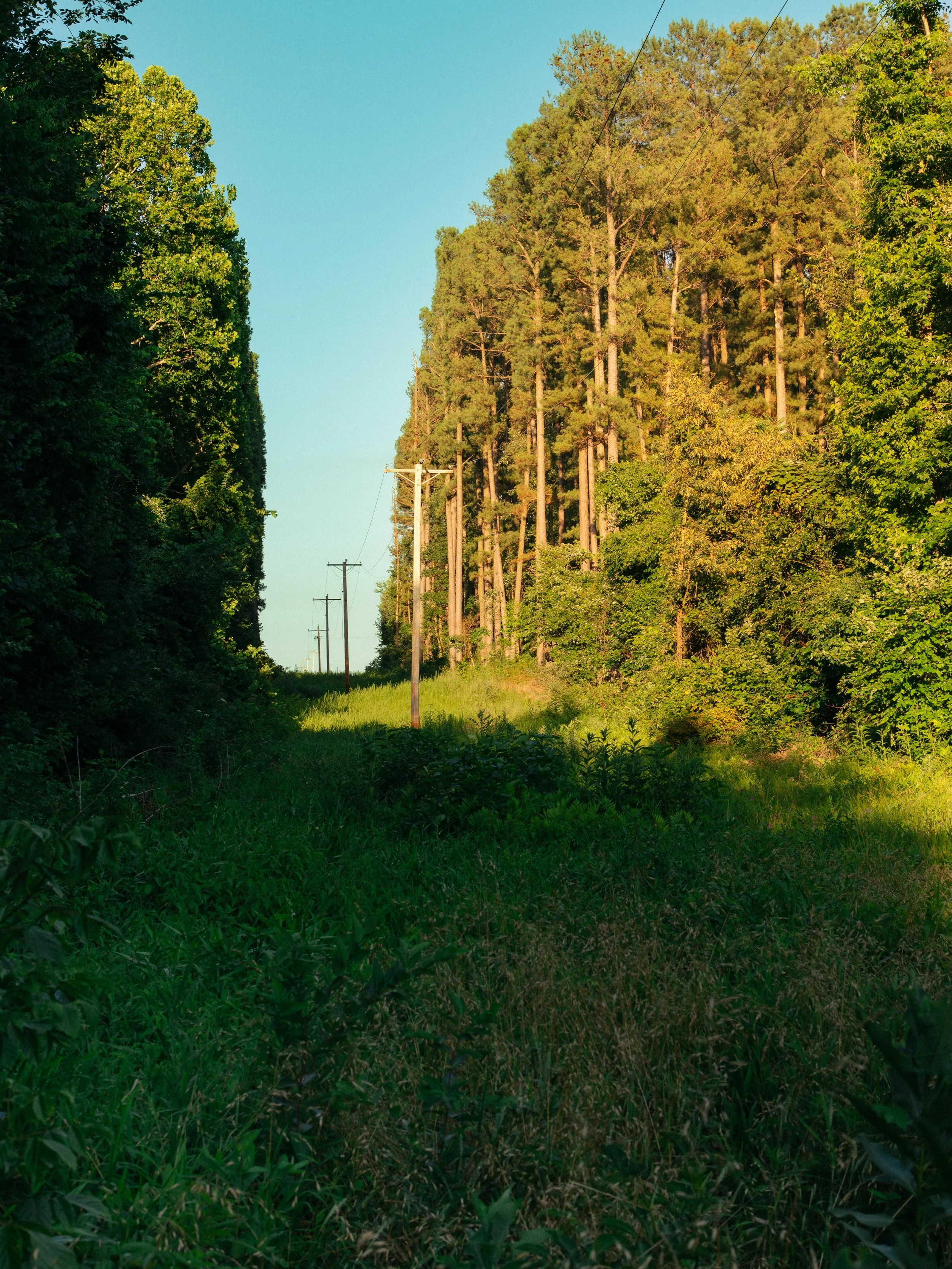 IMG_0203.jpeg