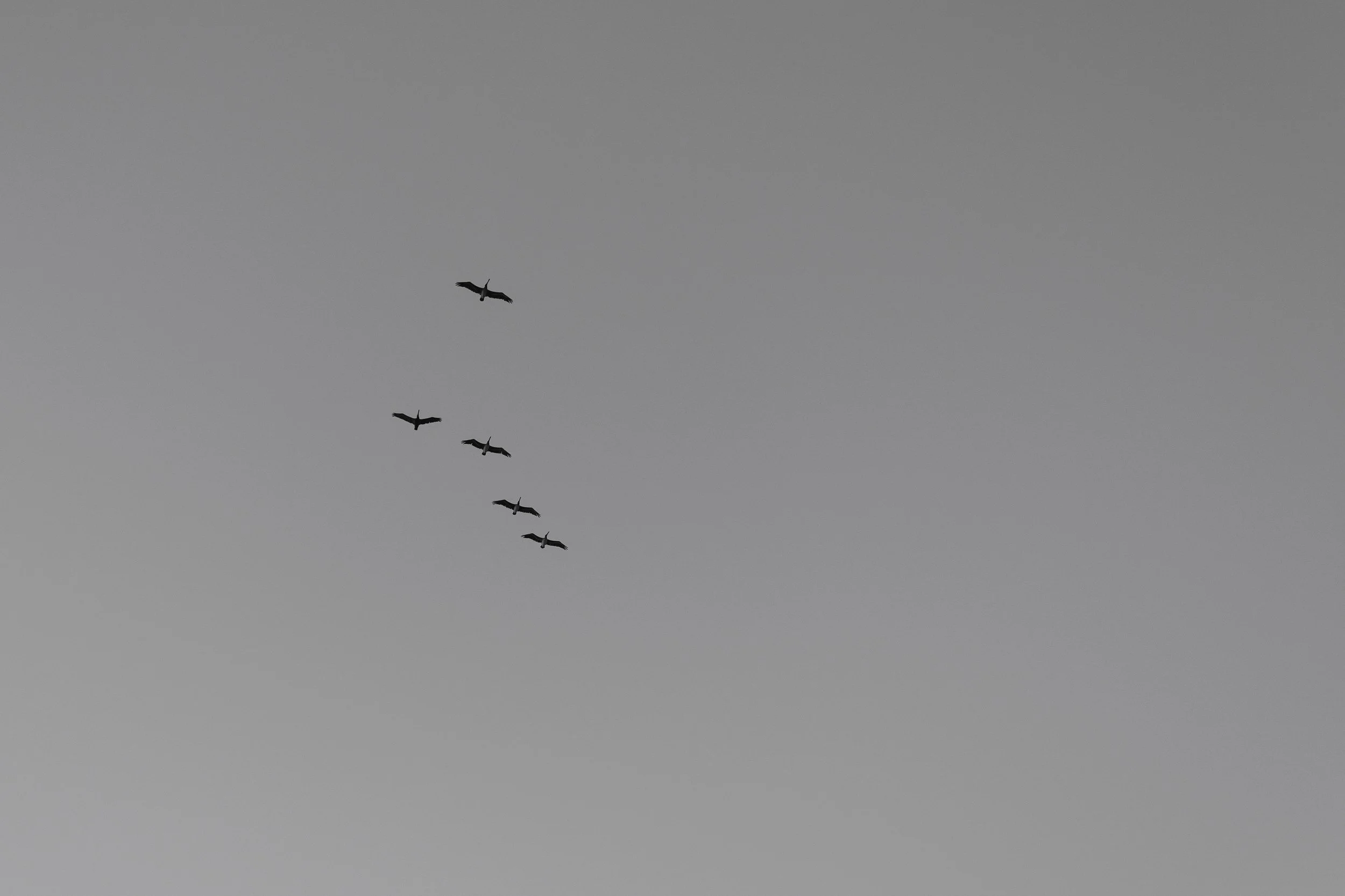 IMG_0292.jpeg