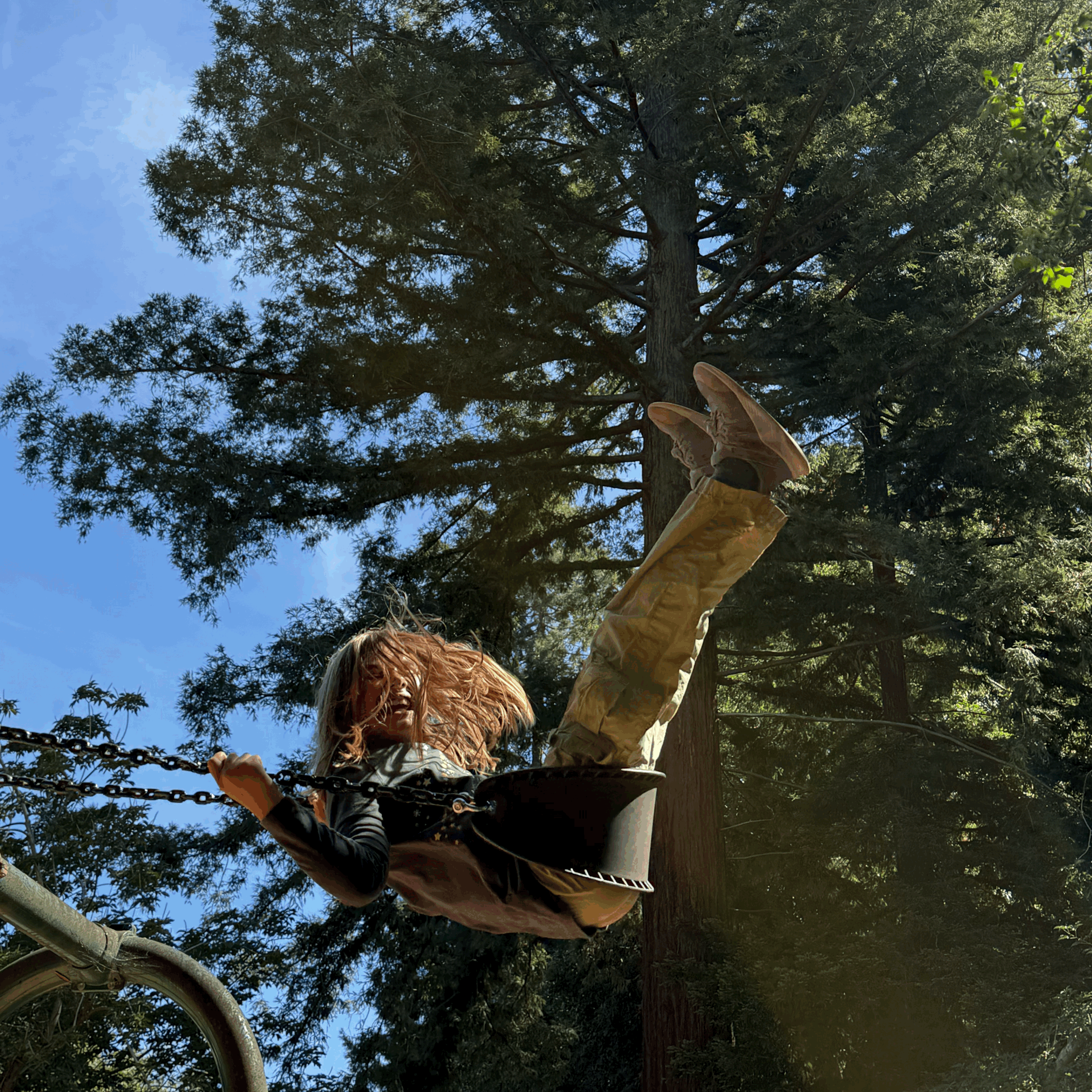 Belmont’s Quality of Life Is Worth Strengthening