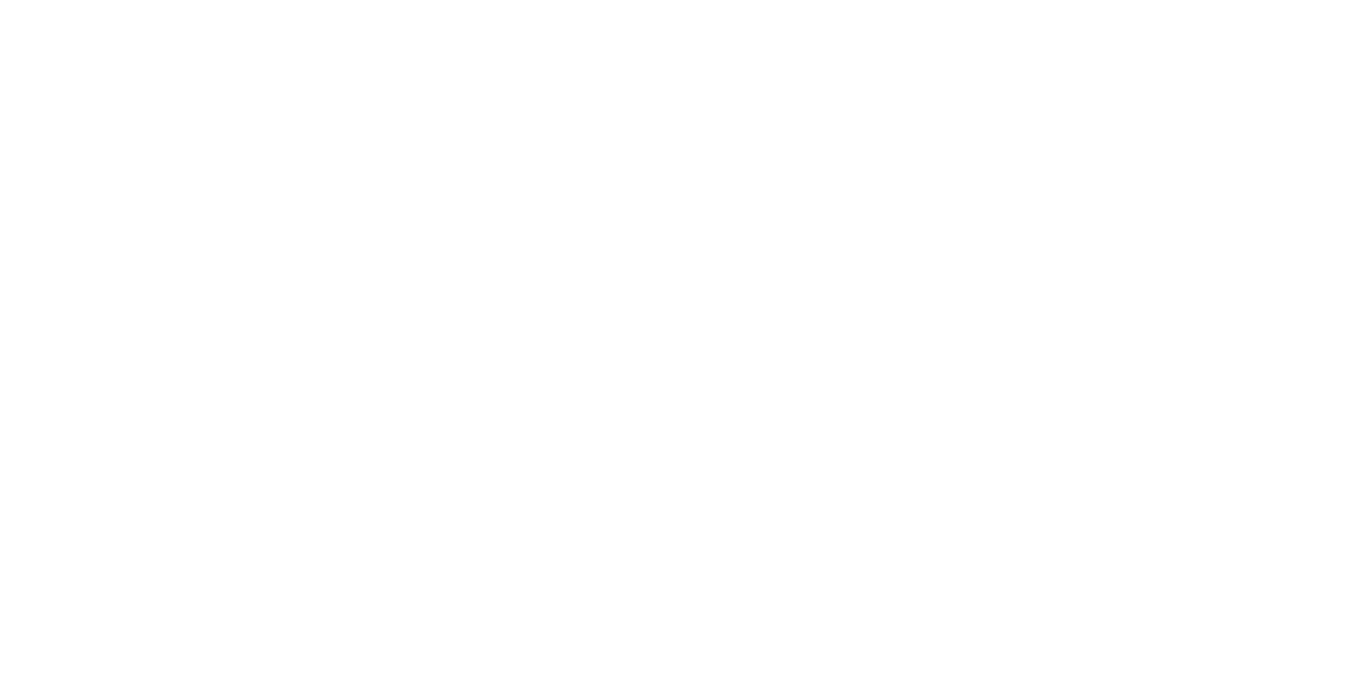 Toro trans