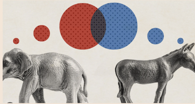 Curious People: The Polarization Problem with Dr. Leaf Van Boven