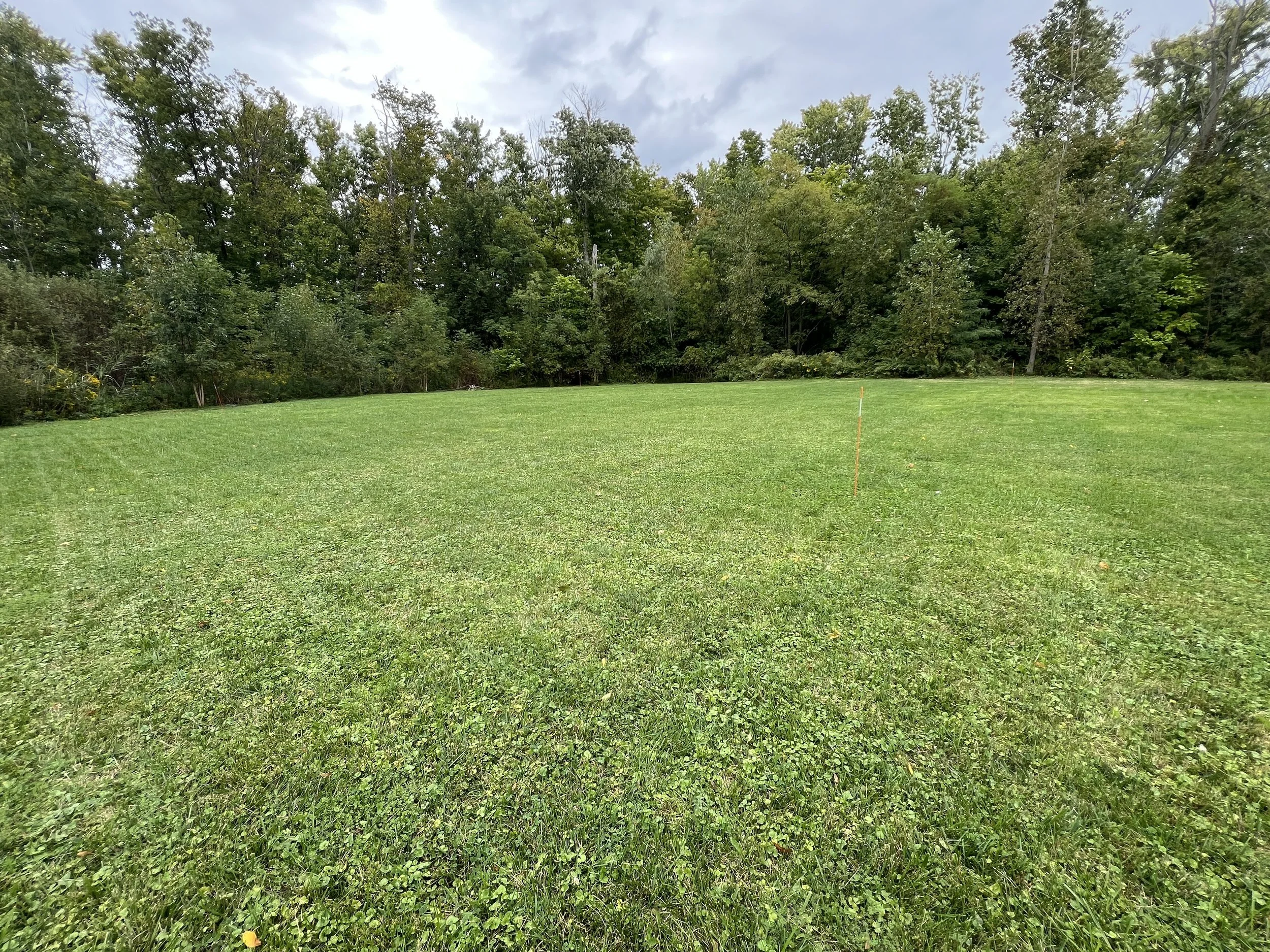 So Much Grass and Clay