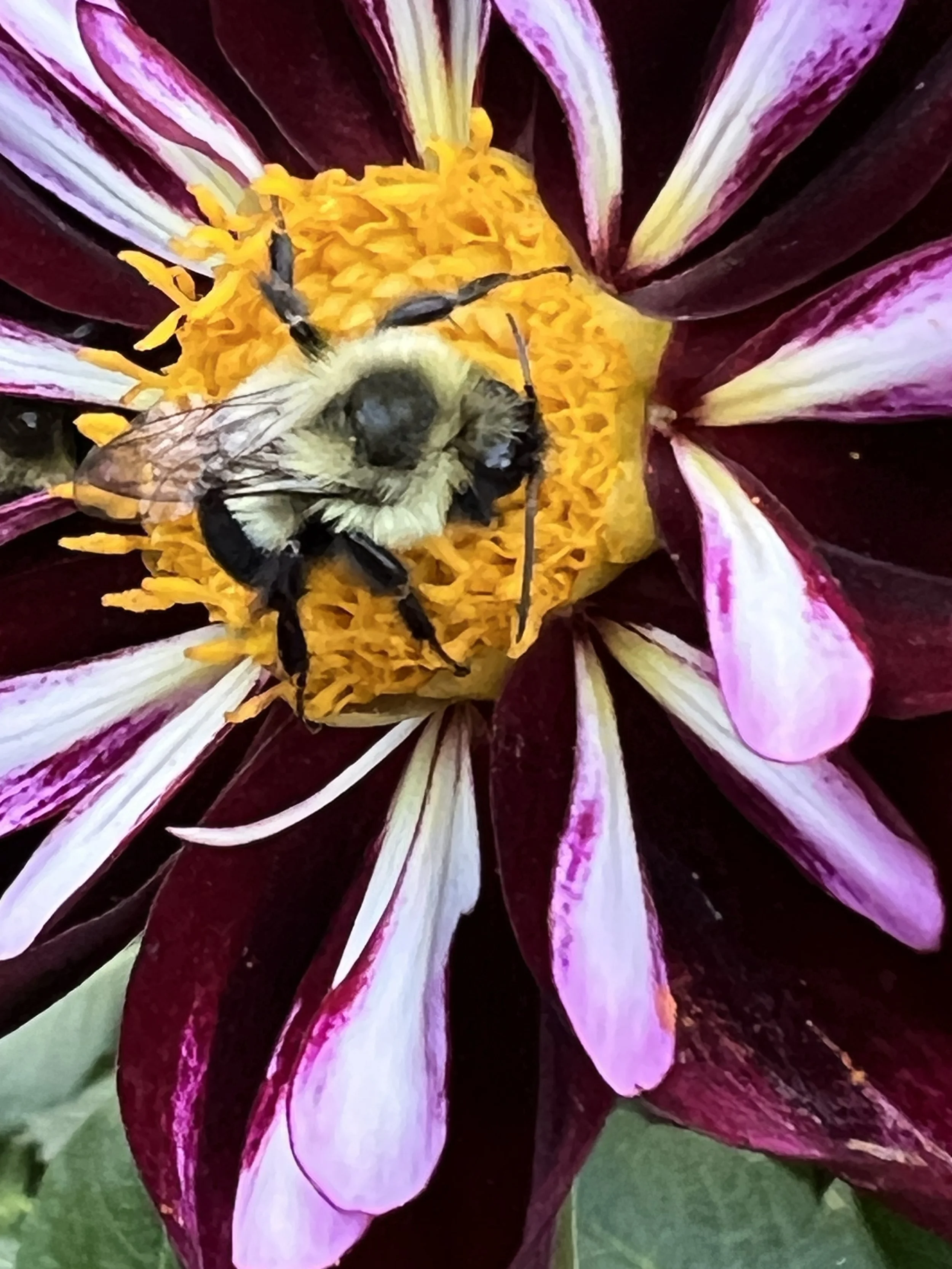 iPhone0 2023-09-13 185159.jpg