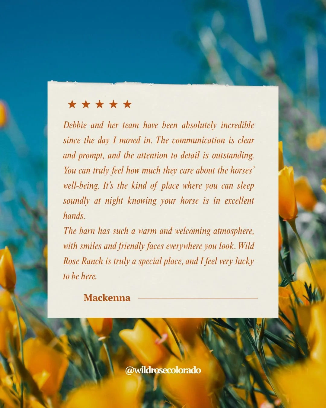 Wild Rose Ranch Reviews.jpg