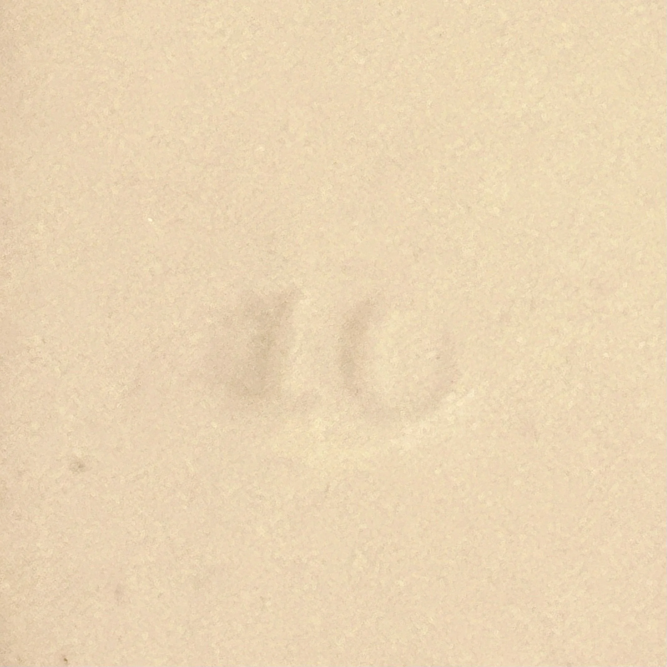 IMG_6093.jpeg
