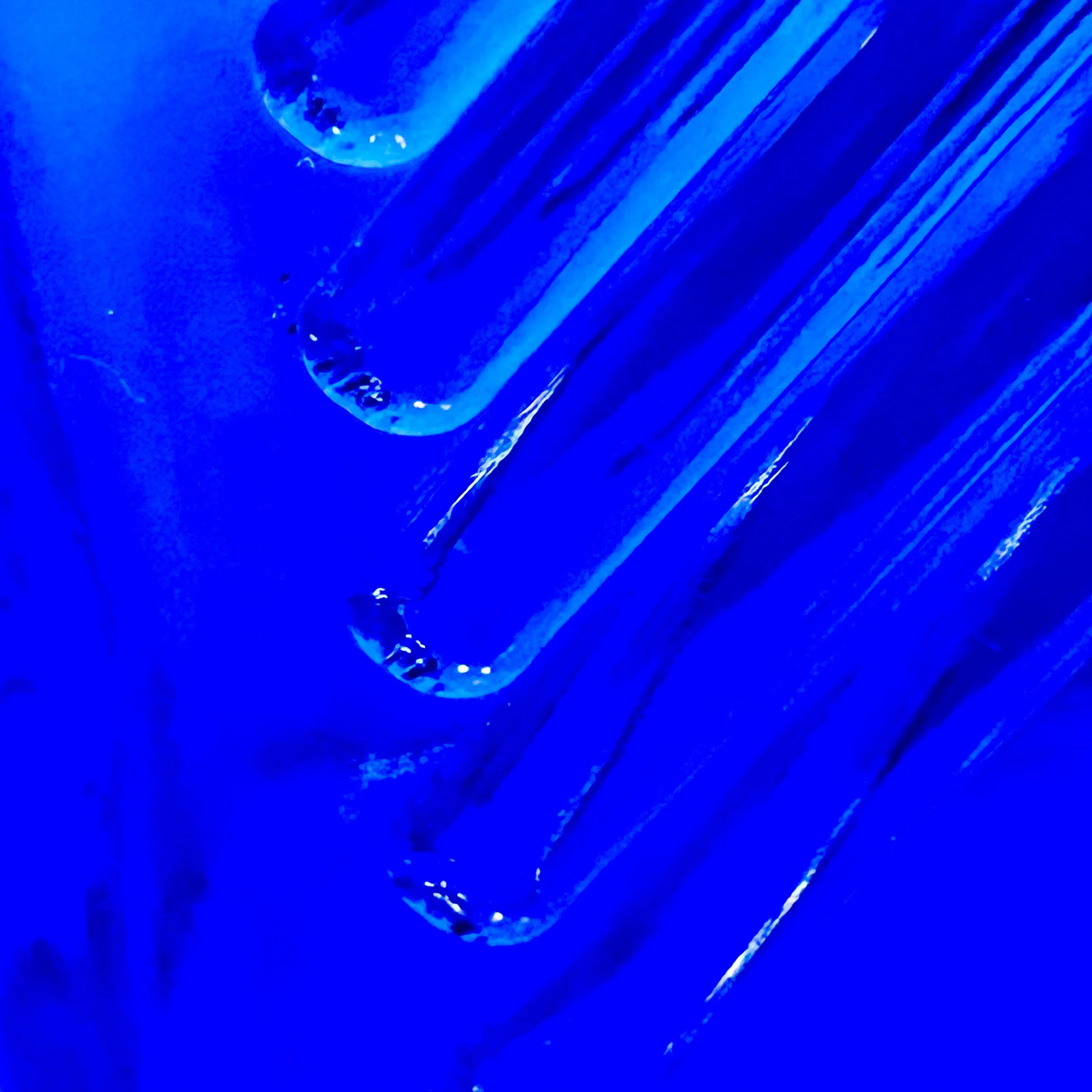 IMG_6692.jpeg