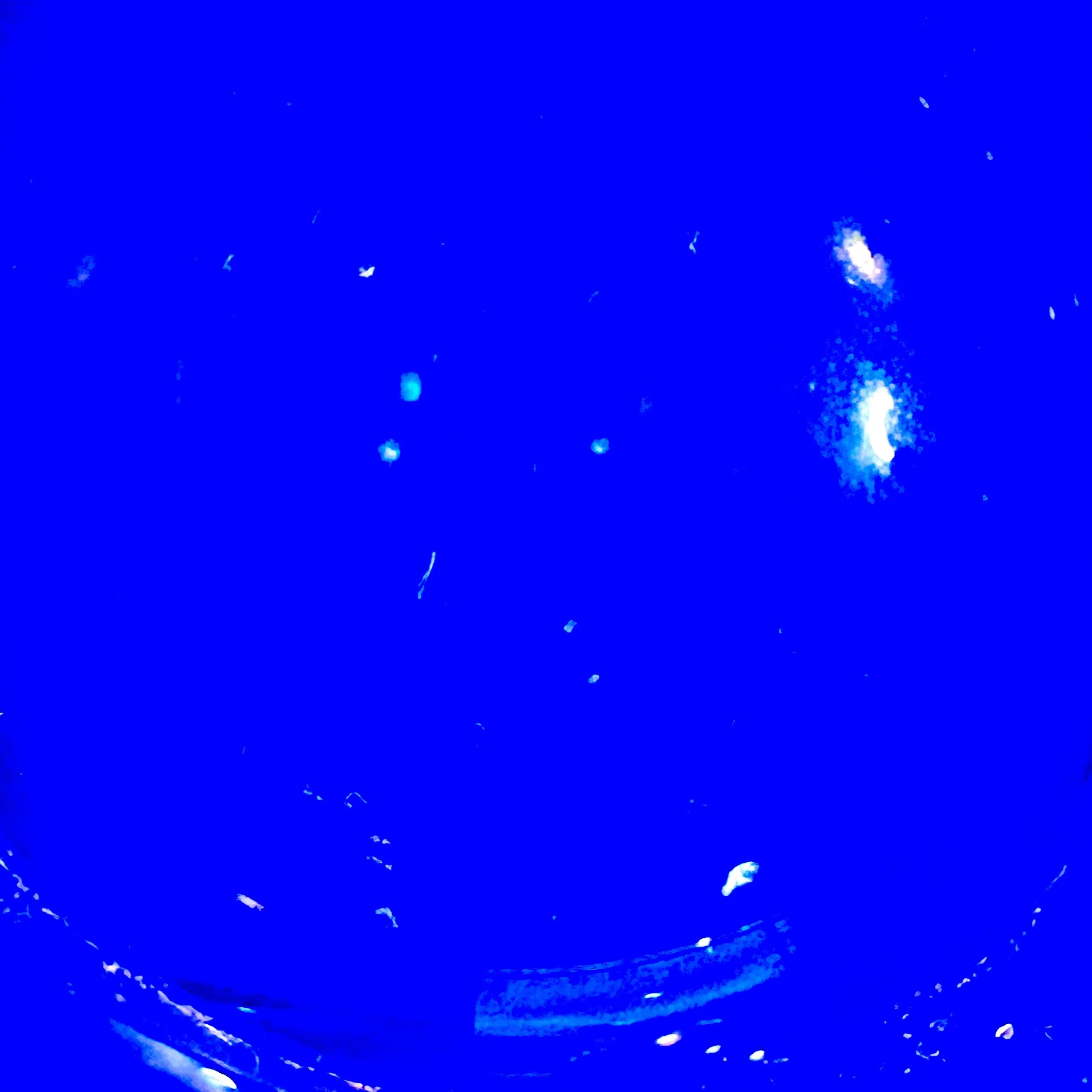 IMG_7006.jpeg