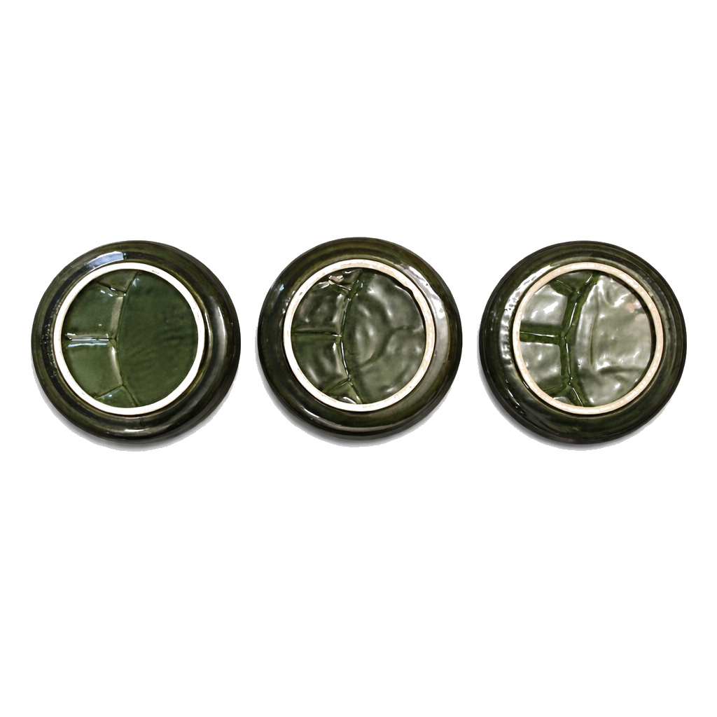 green_plates_bottom_pure_white.png