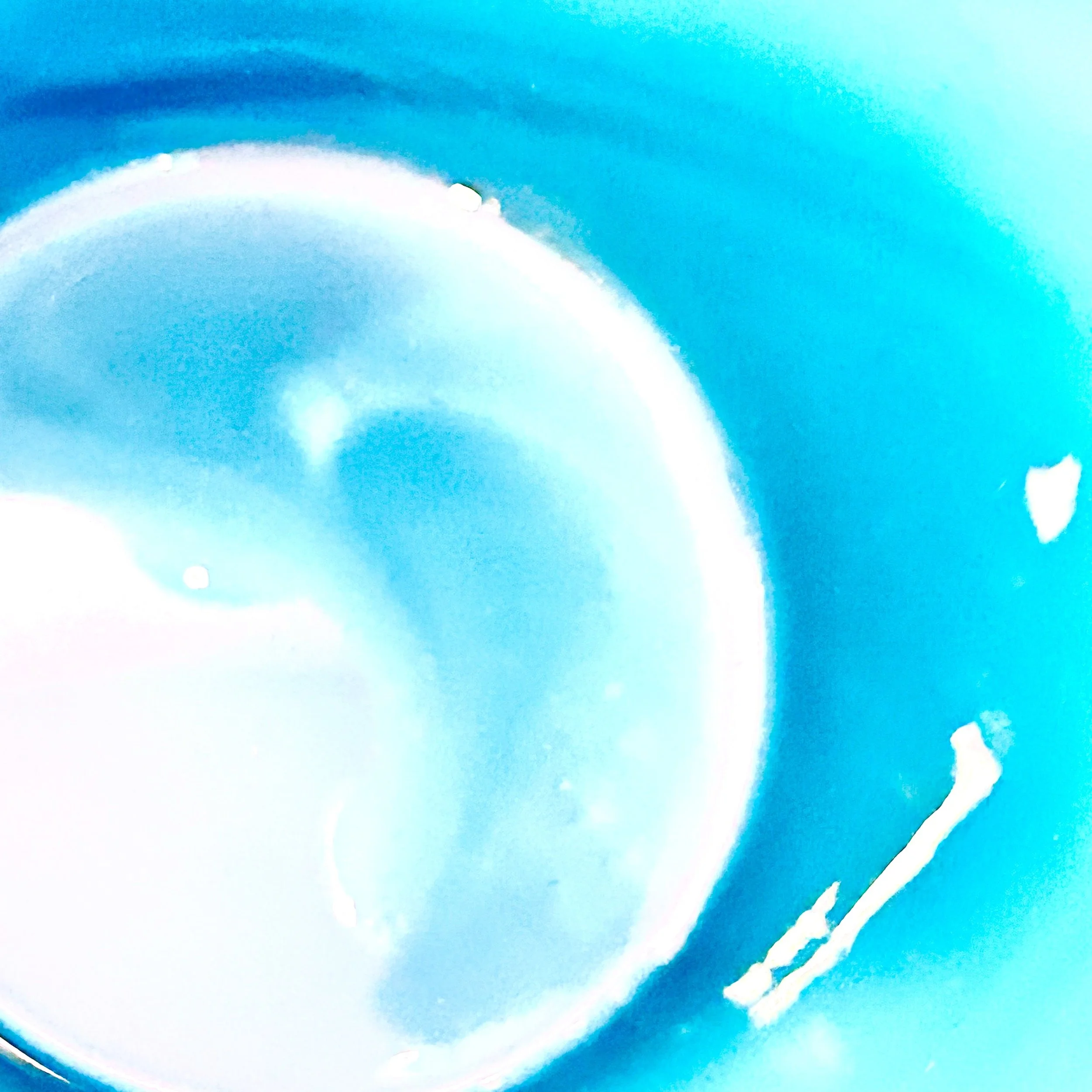 IMG_7028.jpeg