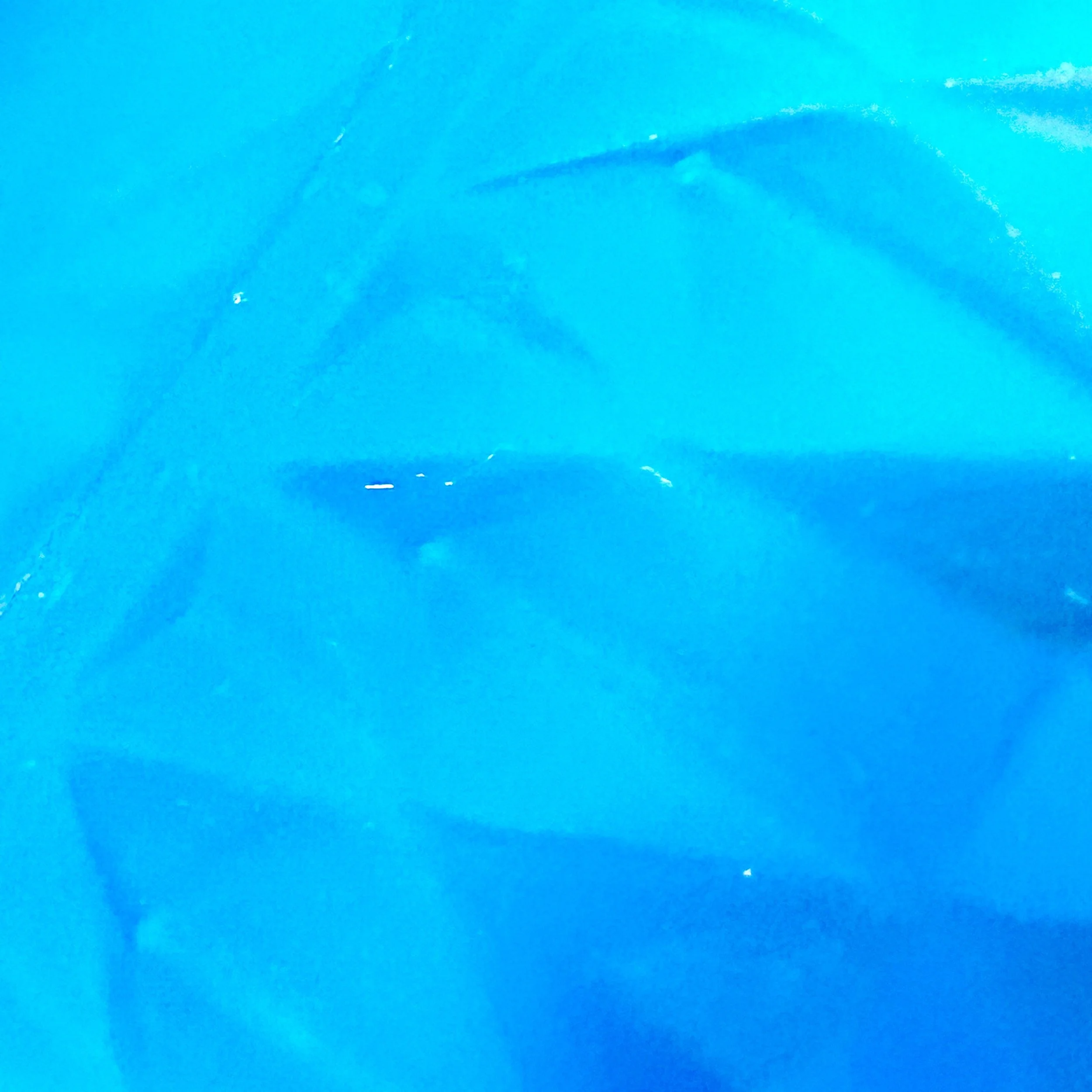 IMG_5130.jpeg