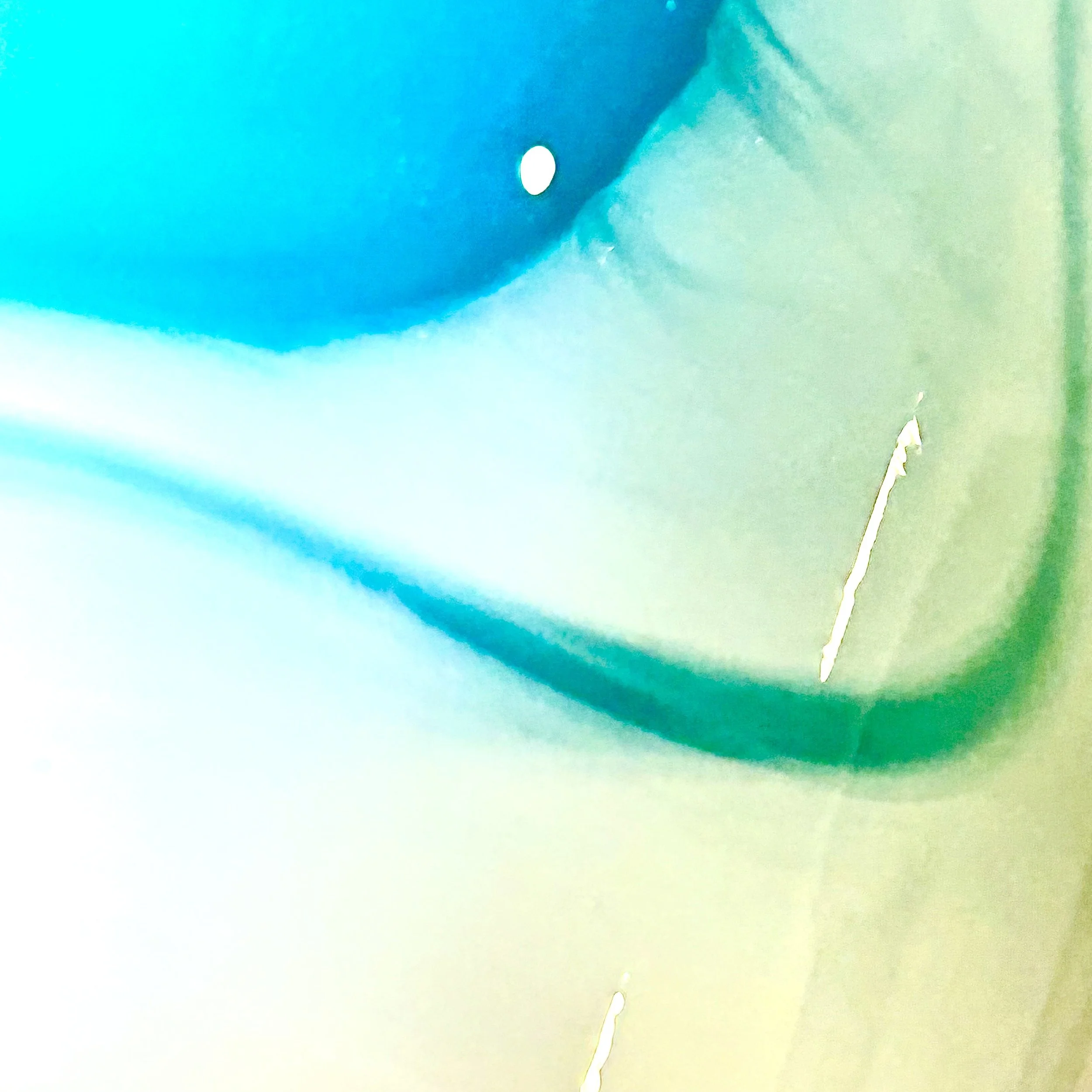 IMG_7034.jpeg