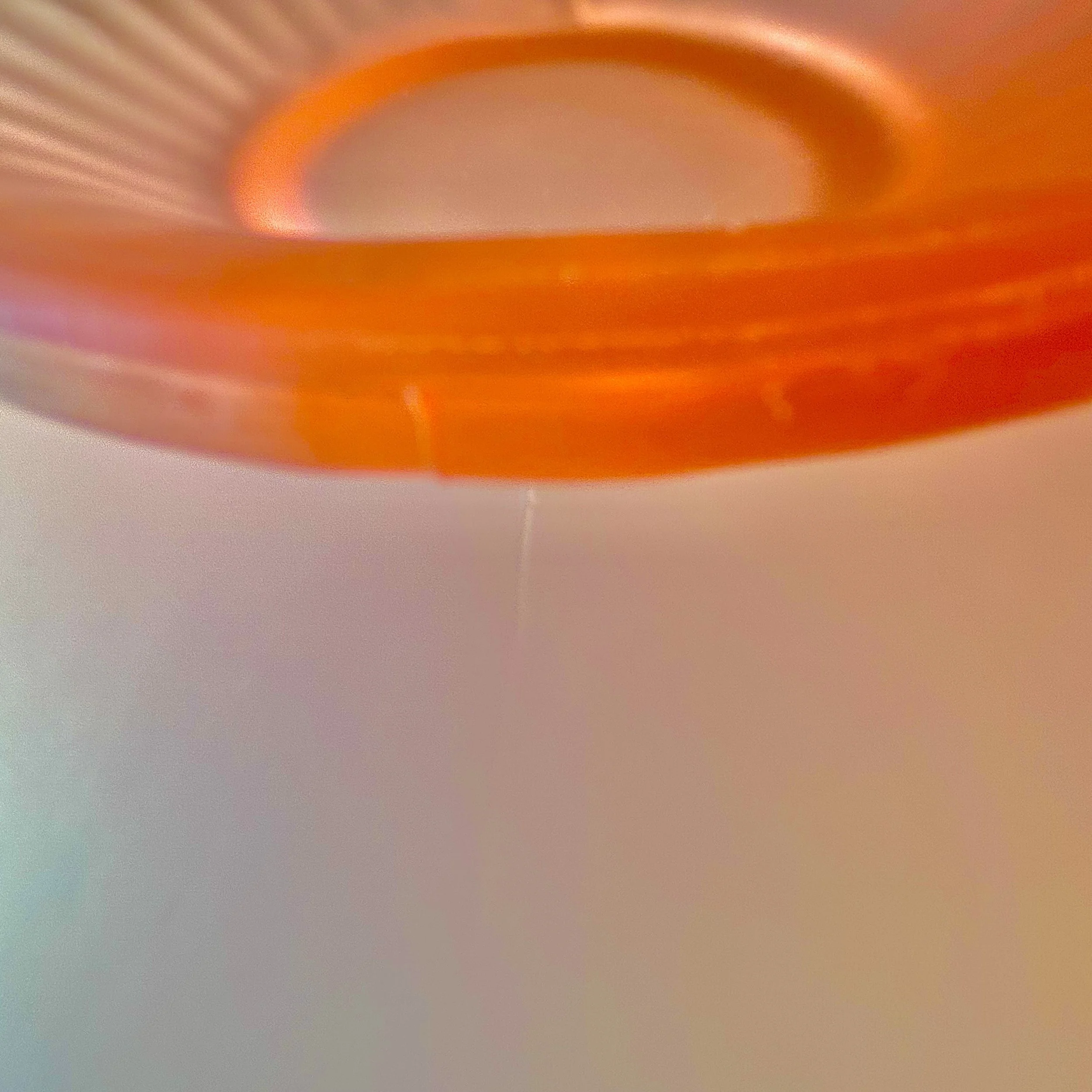 IMG_5419.jpeg