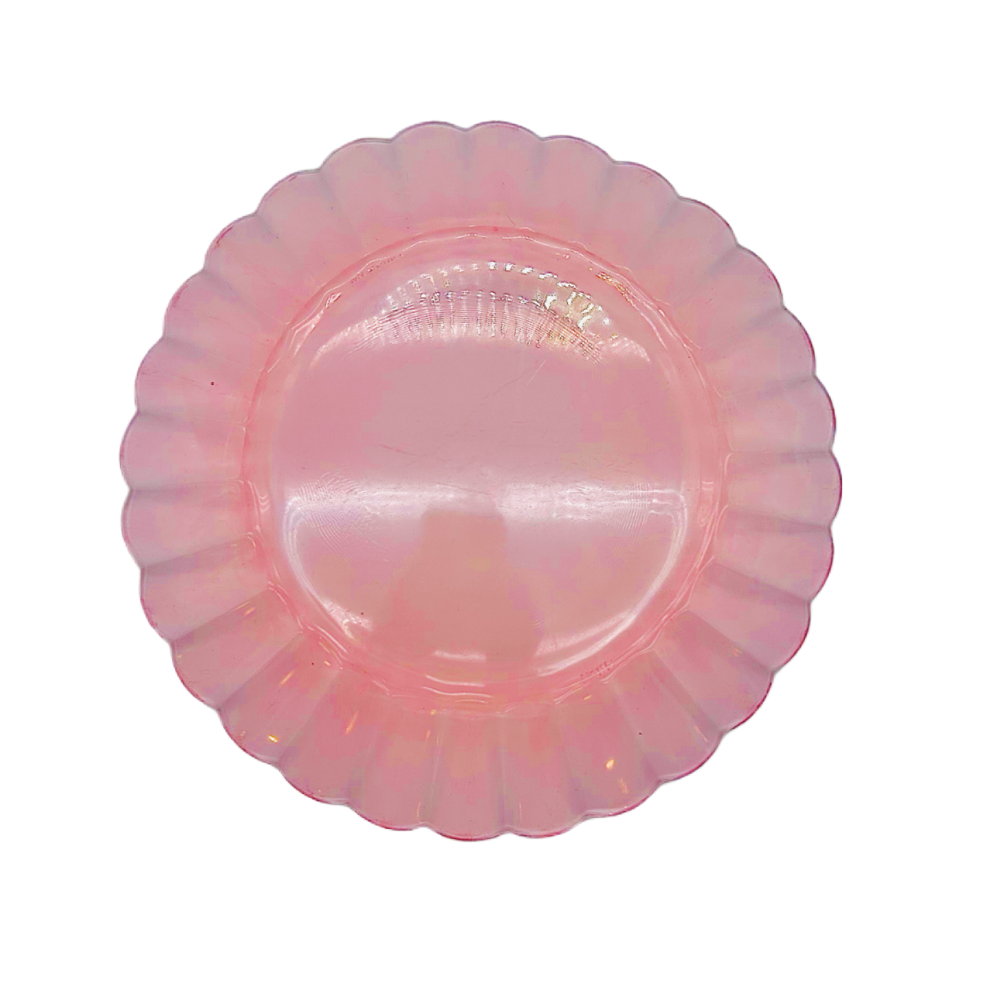 IMG_9204.png