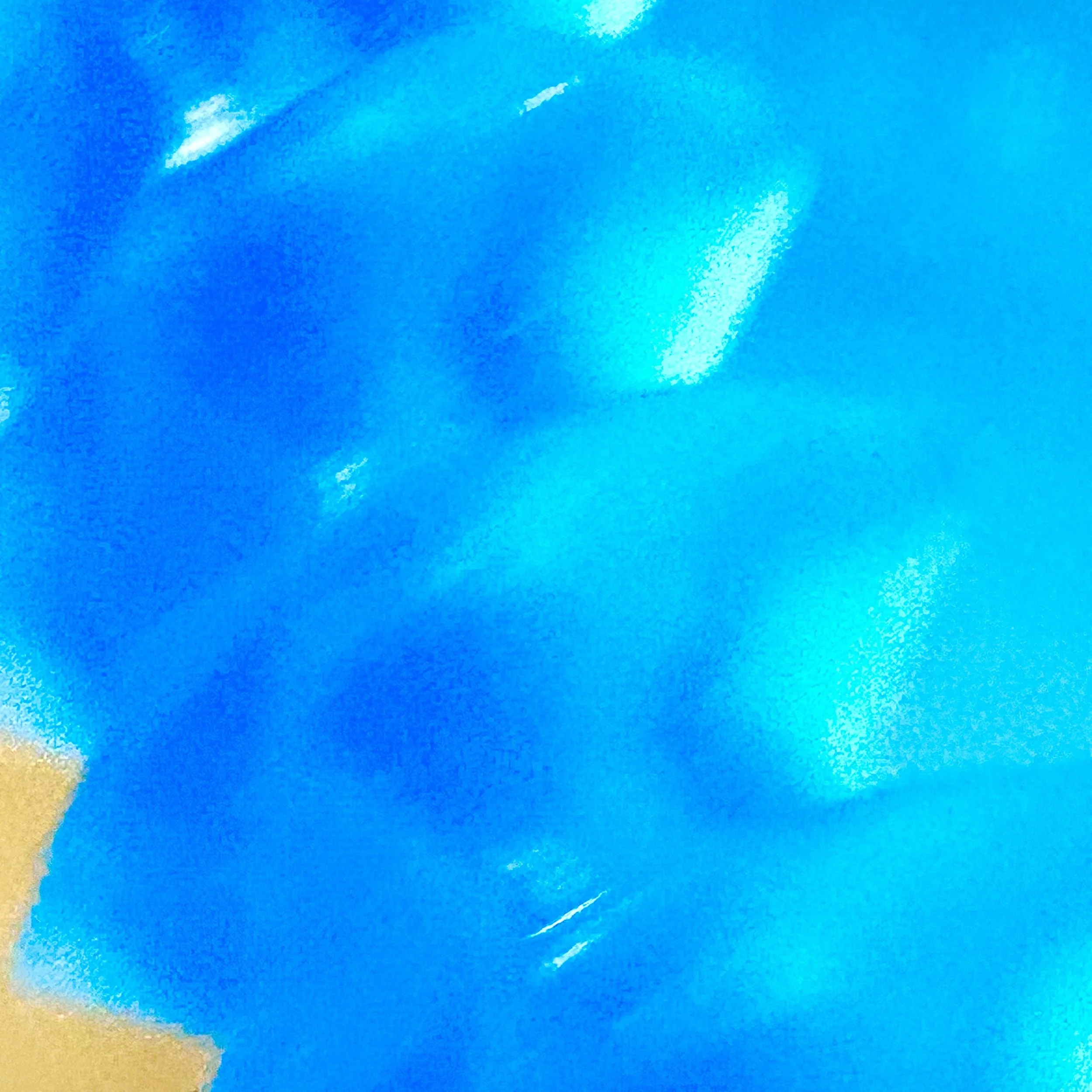 IMG_5132.jpeg