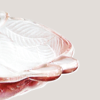 Close-up of a scallop shell with a pale background.