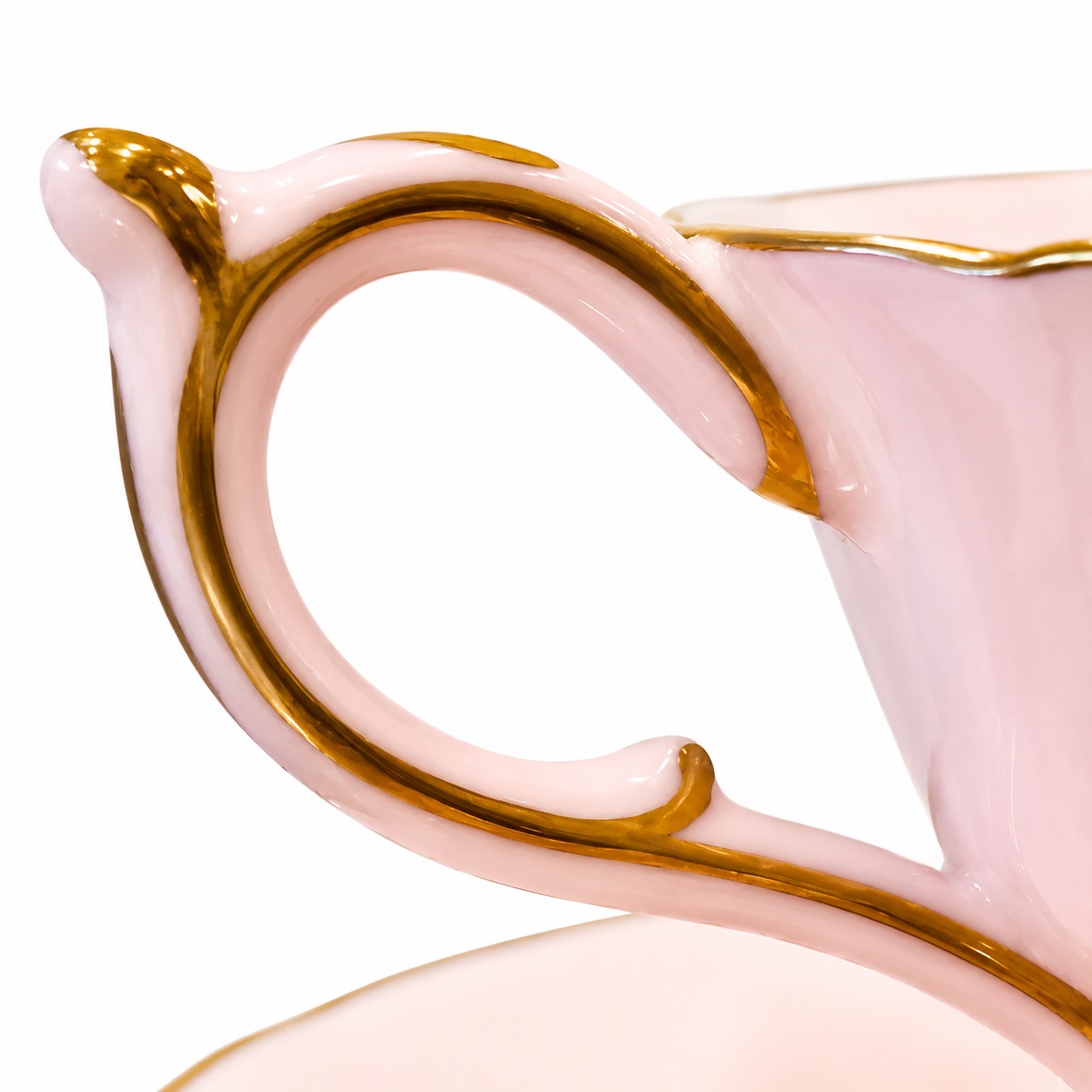 54F2348C-EE6A-48F8-B603-9D7F1298FBB5.png