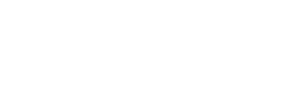 Black and white image with text stating 'Established 2016, Chicago BORN IL USA'.