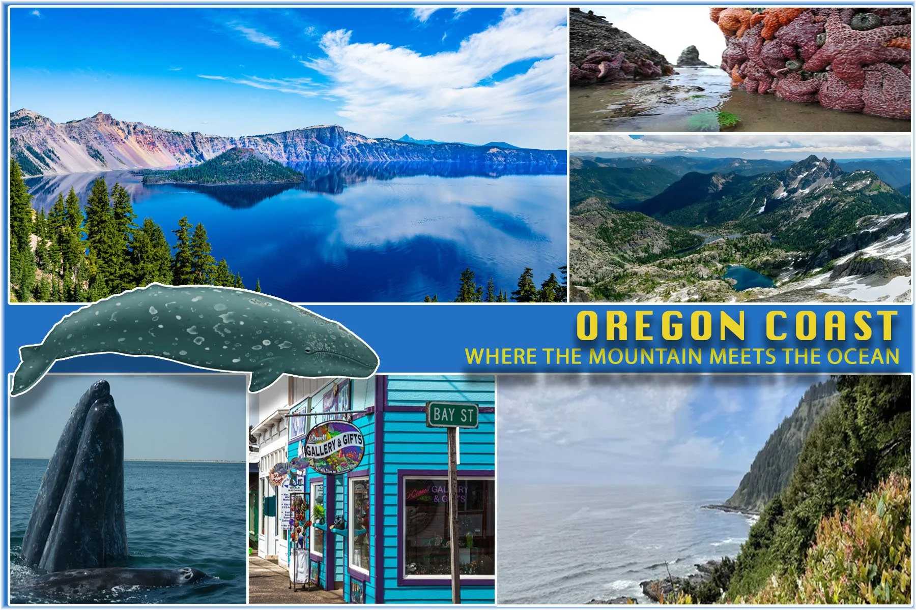 Social Media Projects