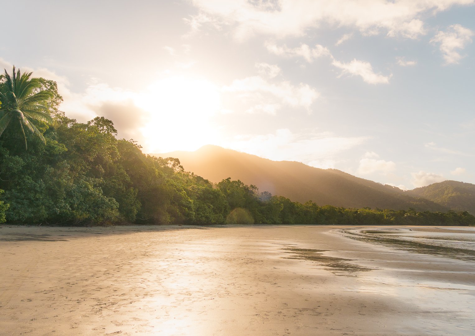 Cape Tribulation