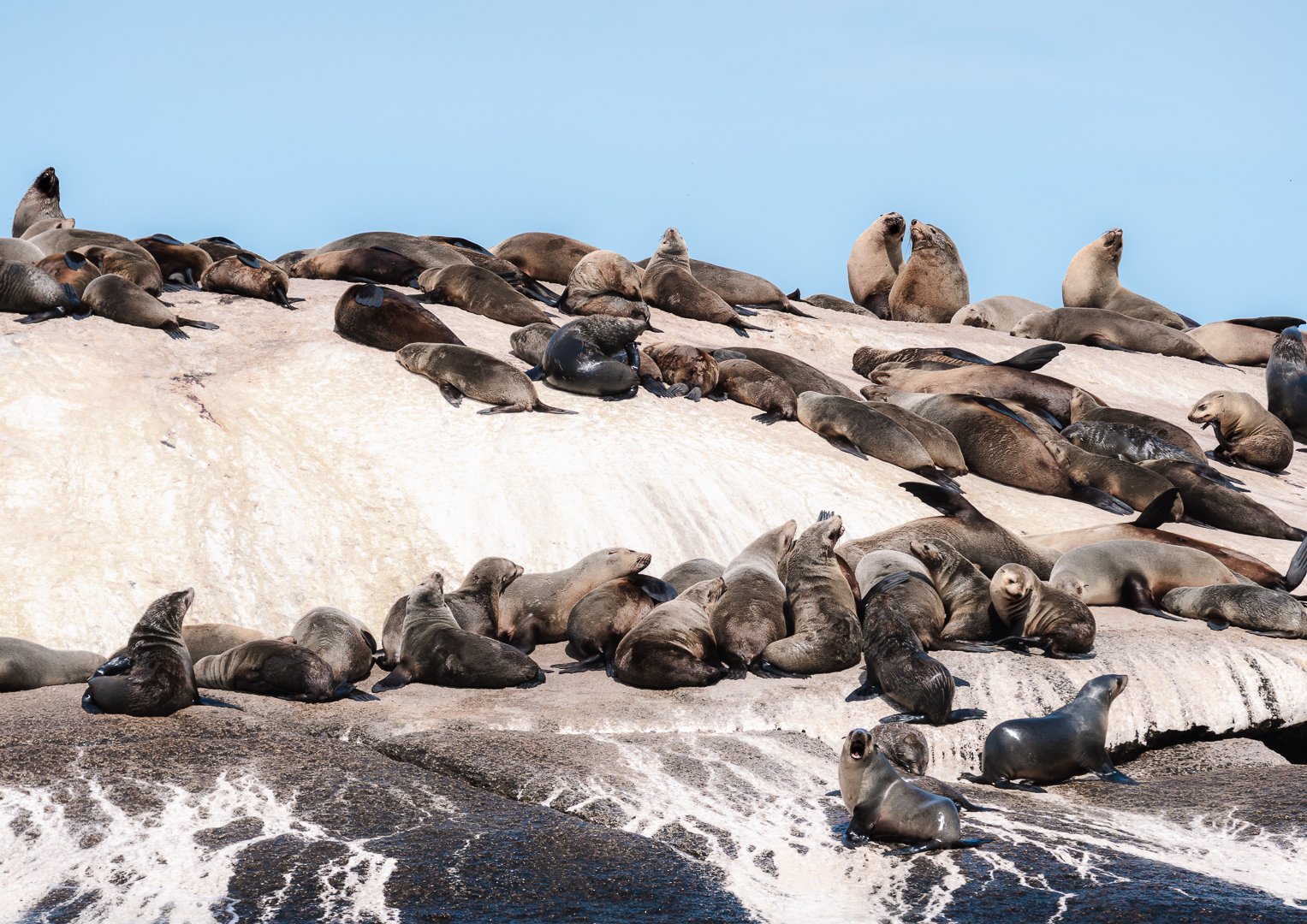 Seal Rock, WIlsons Prom, Australia