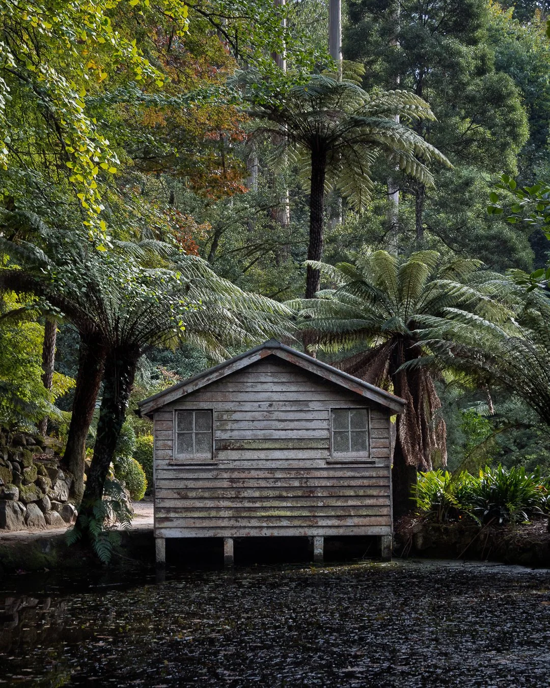 Alfred Nicholas Memorial Gardens, Dandenong Ranges, Australia