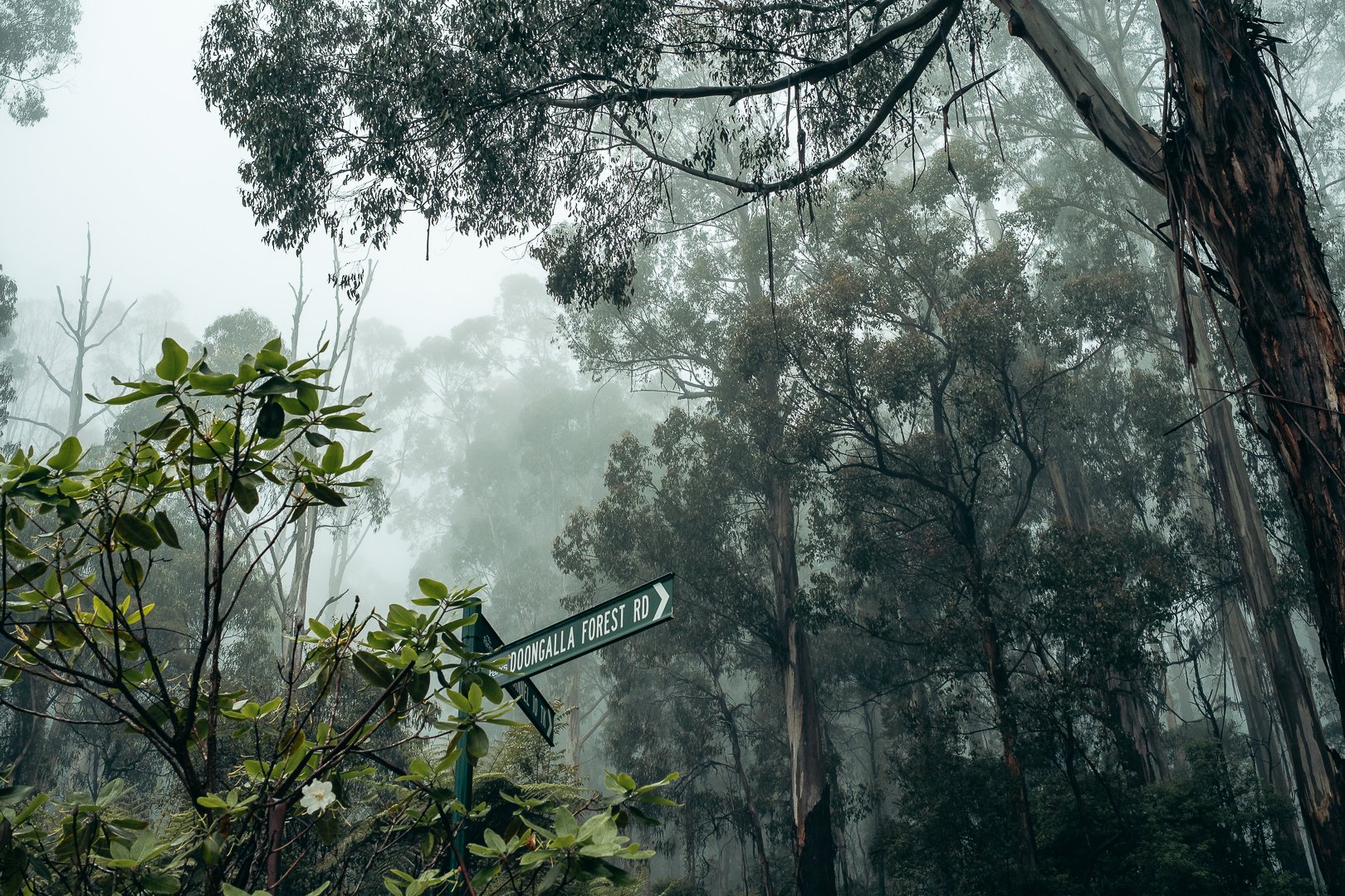 Danenong Ranges, Melbourne, Australia