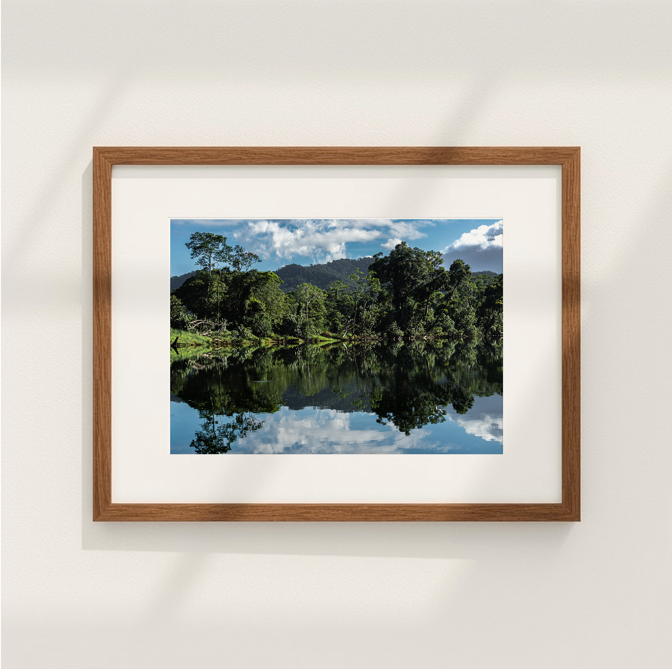reflections.png