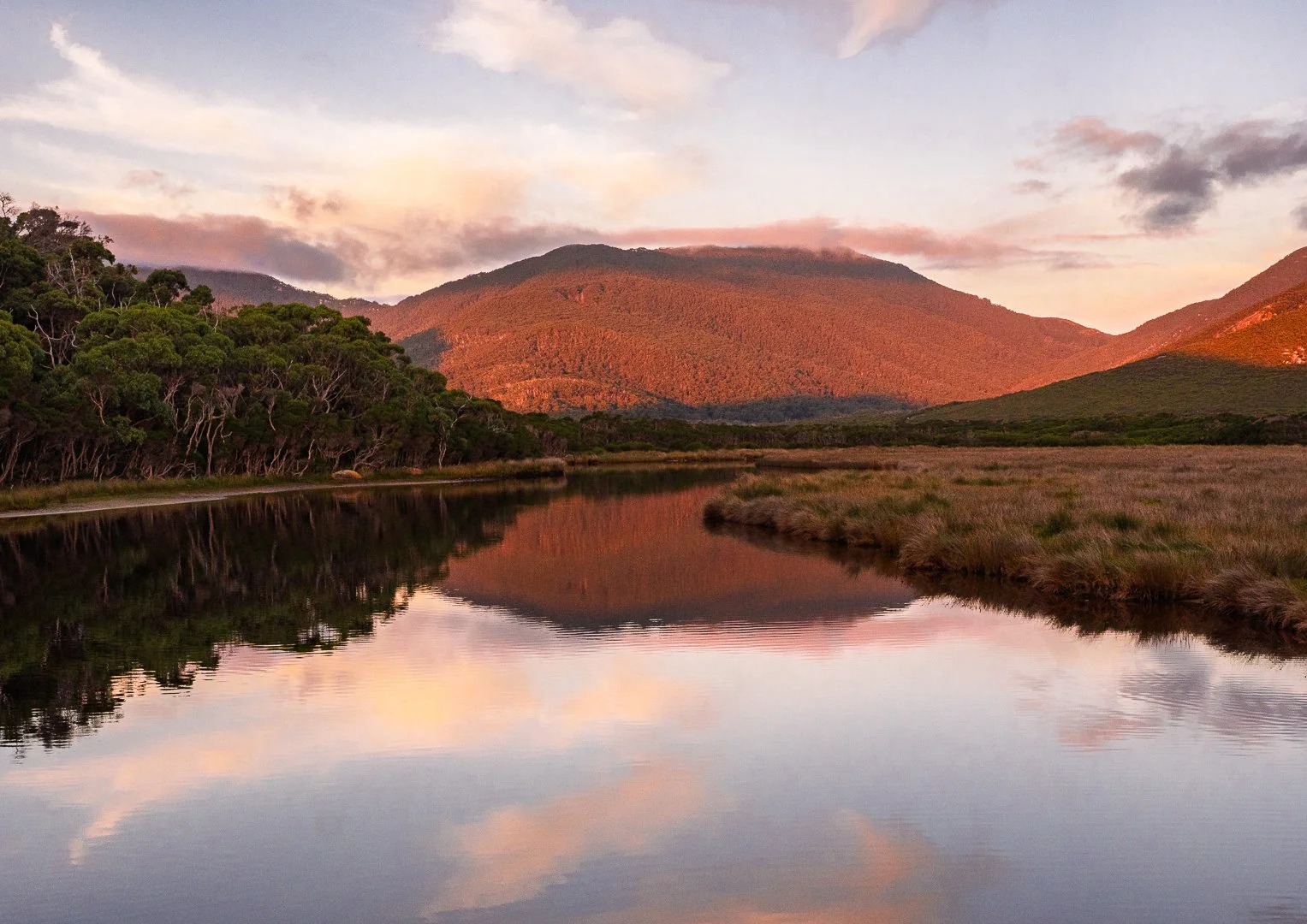 Tidal River