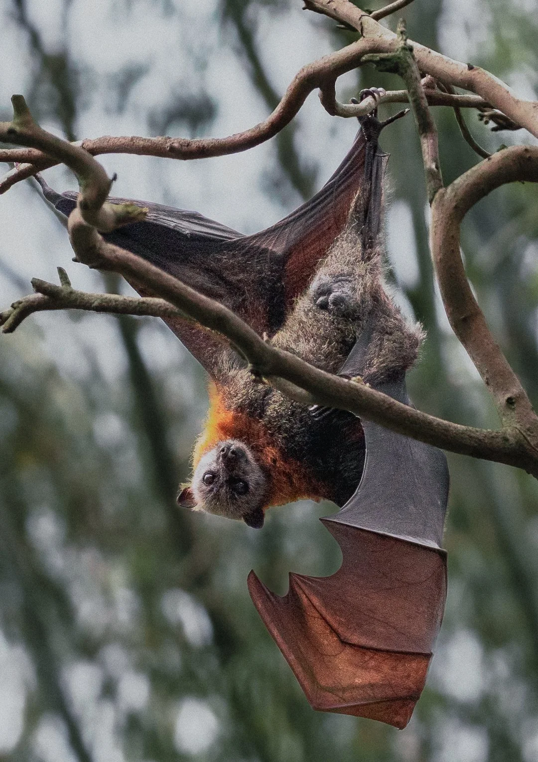 Hanging Around