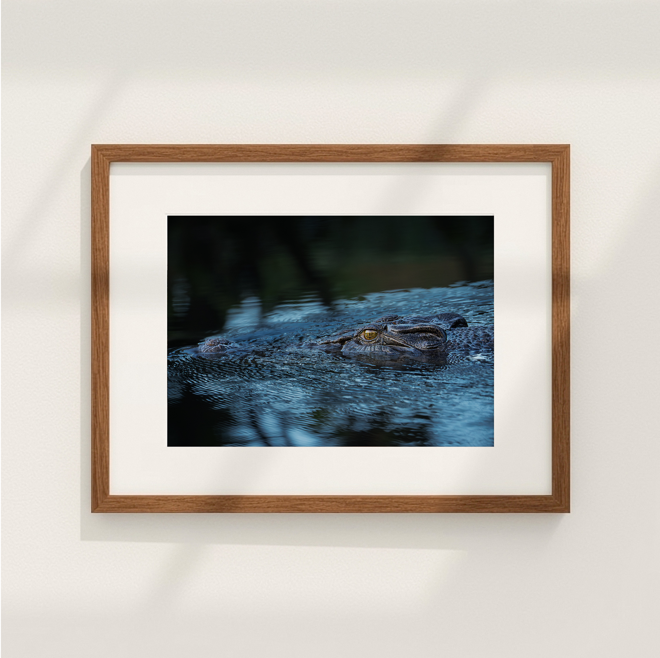 croc.png