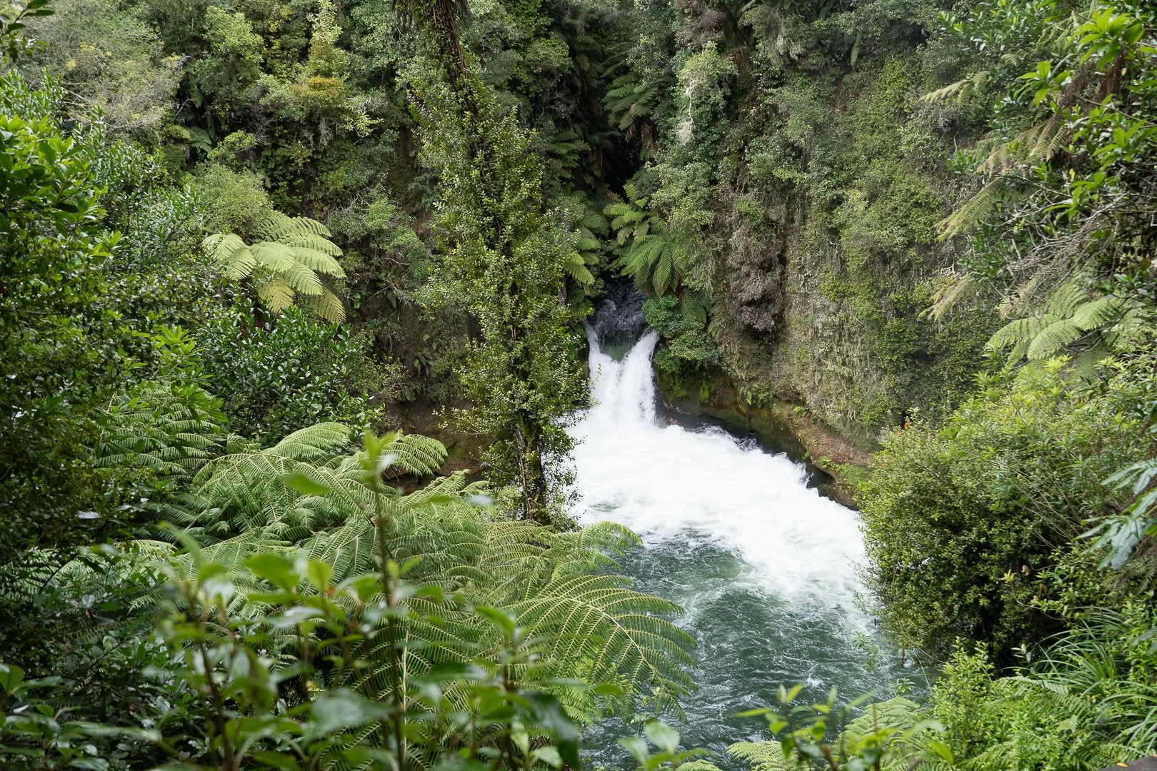 Lake Rotoiti, NZ