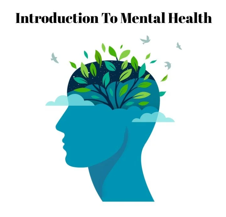 Introduction To Mental Health
