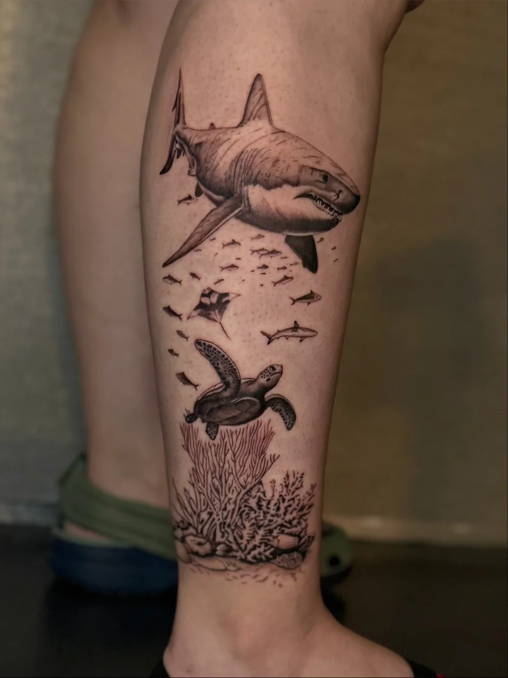 Fine line ocean tattoo featuring a great white shark, sea turtle, coral reef, and marine life in black and grey, created by Sandy at Black Nova Tattoo Collective in Miami.