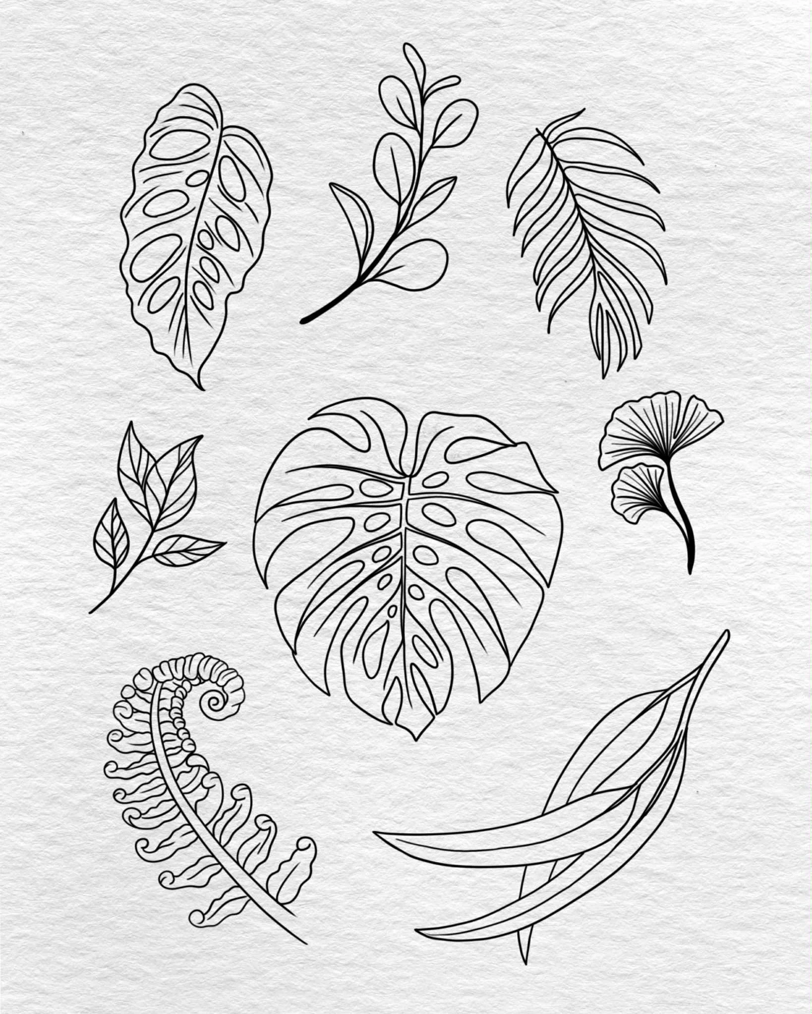 Black line drawings of various tropical leaves, including monstera, palm, and fern, on a textured white background.