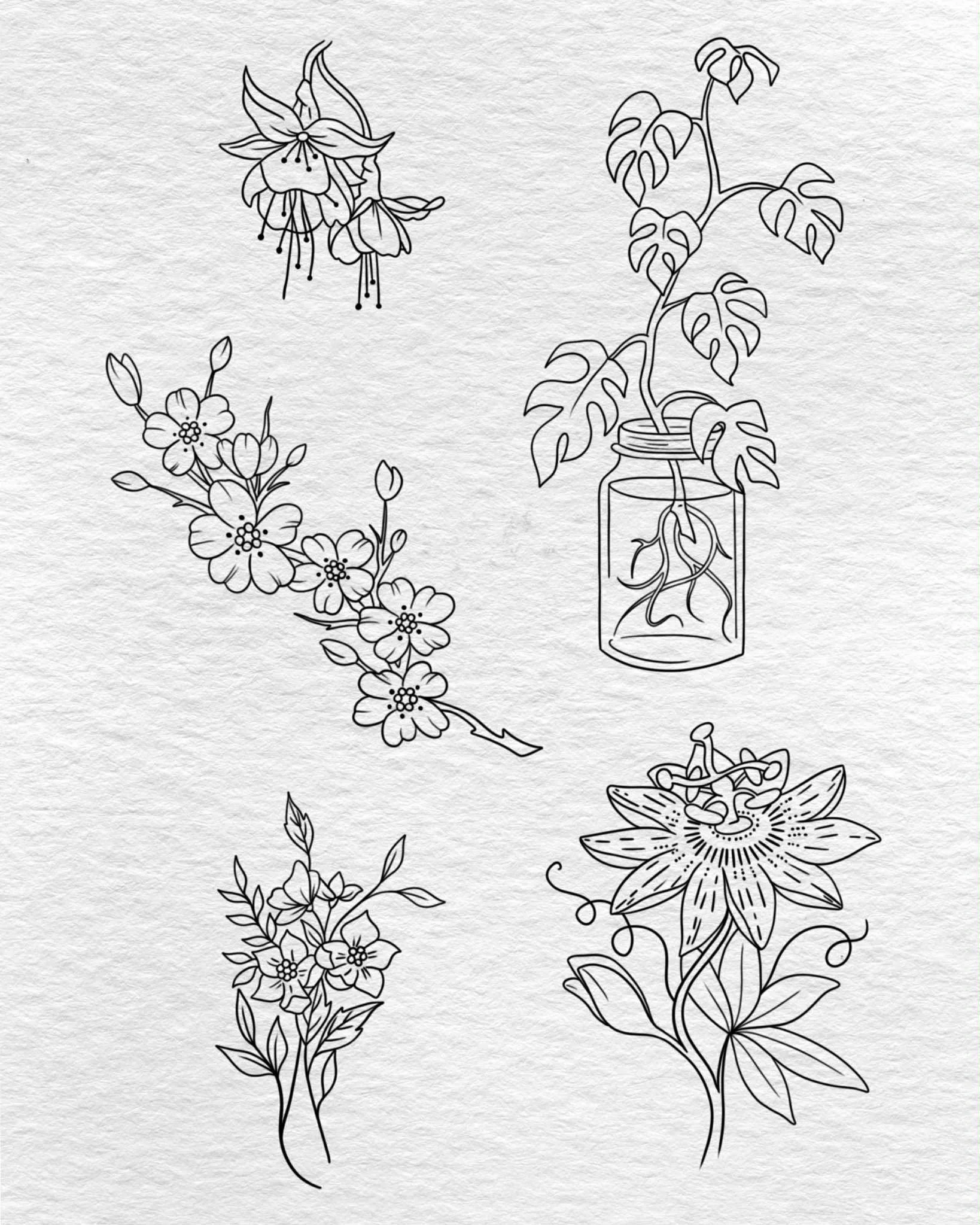 Line drawings of four different flowers and a jar with a plant.