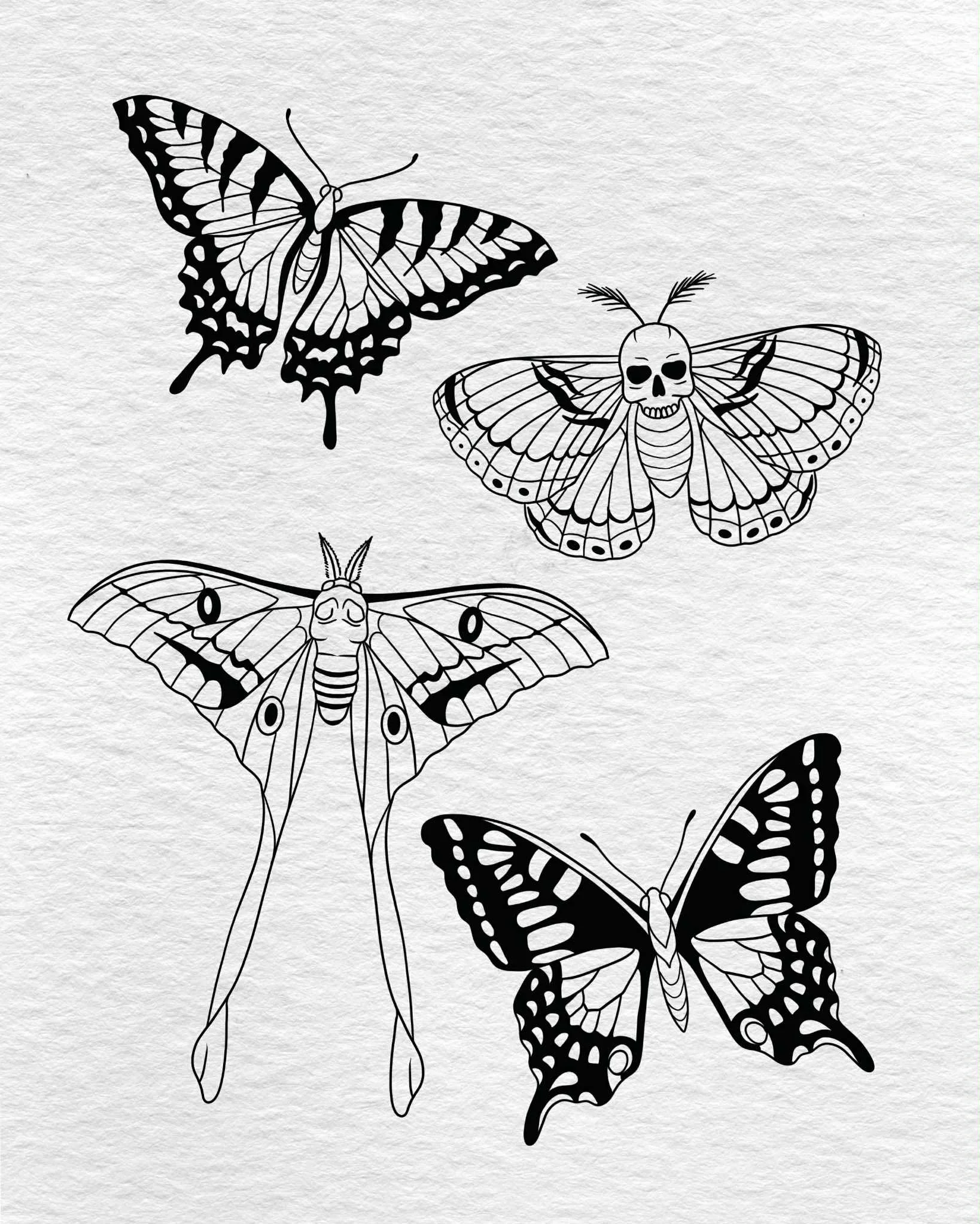 Black and white illustrations of five different butterflies against a textured background, with one butterfly having a skull design on its wings.
