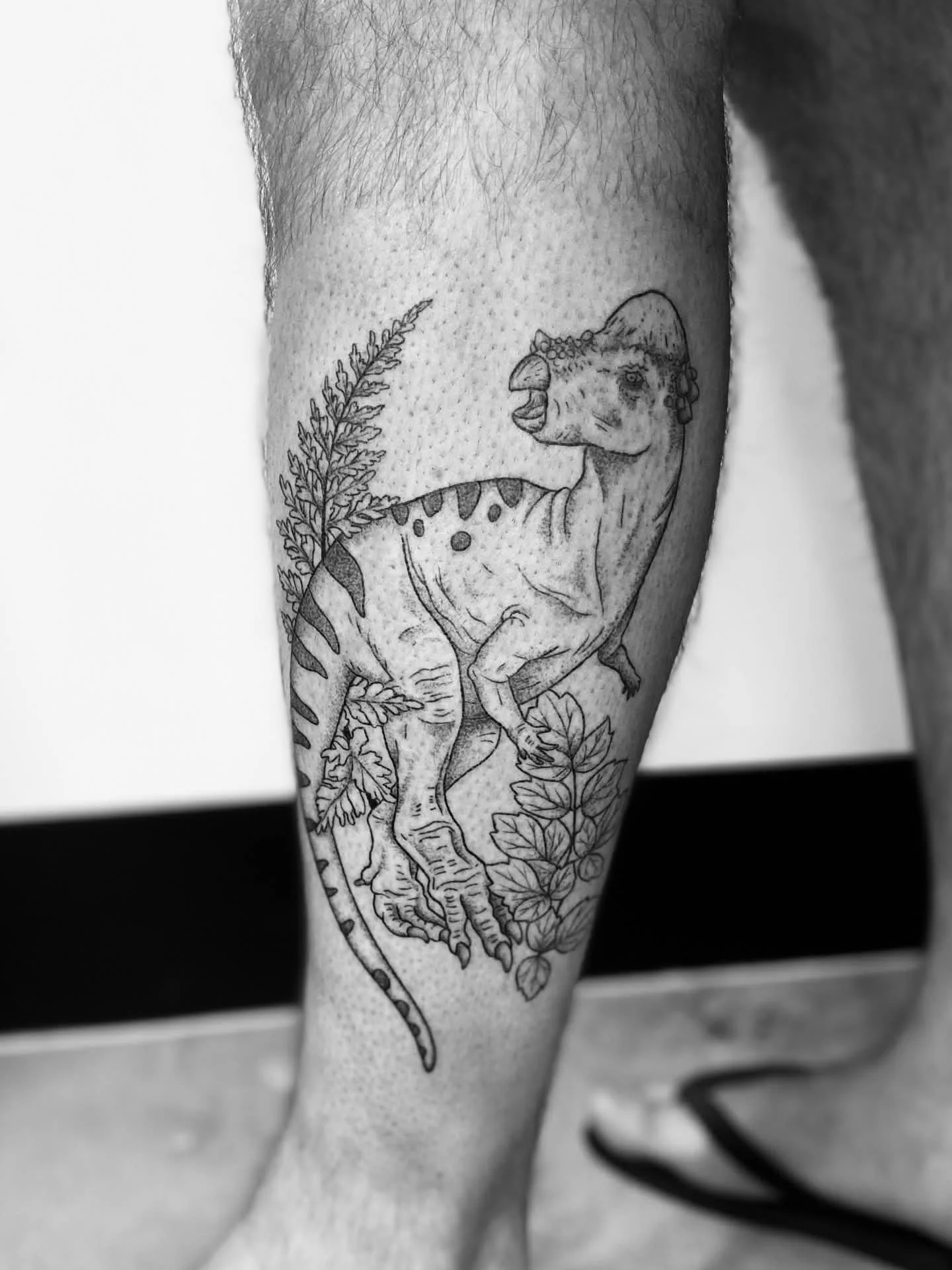 Black and white tattoo of a dinosaur surrounded by leaves on a person's arm.