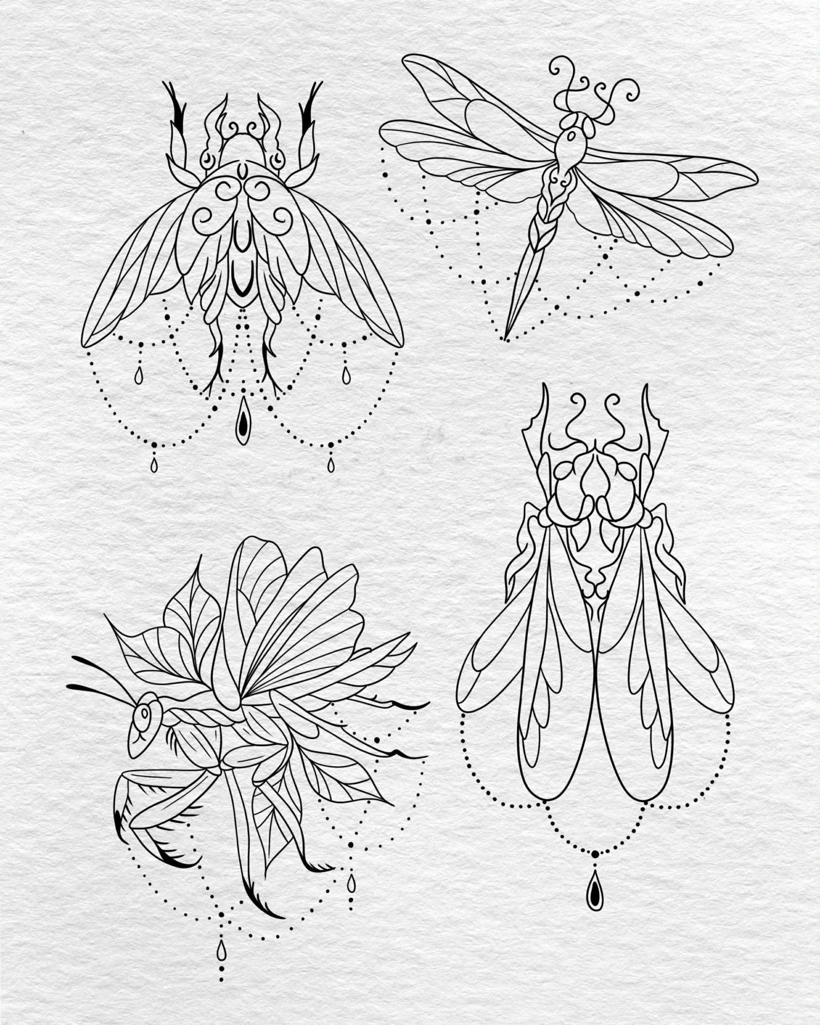 Line art illustrations of four insects, including a butterfly, a dragonfly, another butterfly, and a beetle, embellished with decorative dots and teardrop accents.