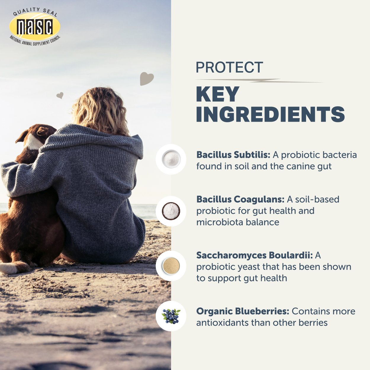Protect_Key Ingredients_2500x2500.jpg