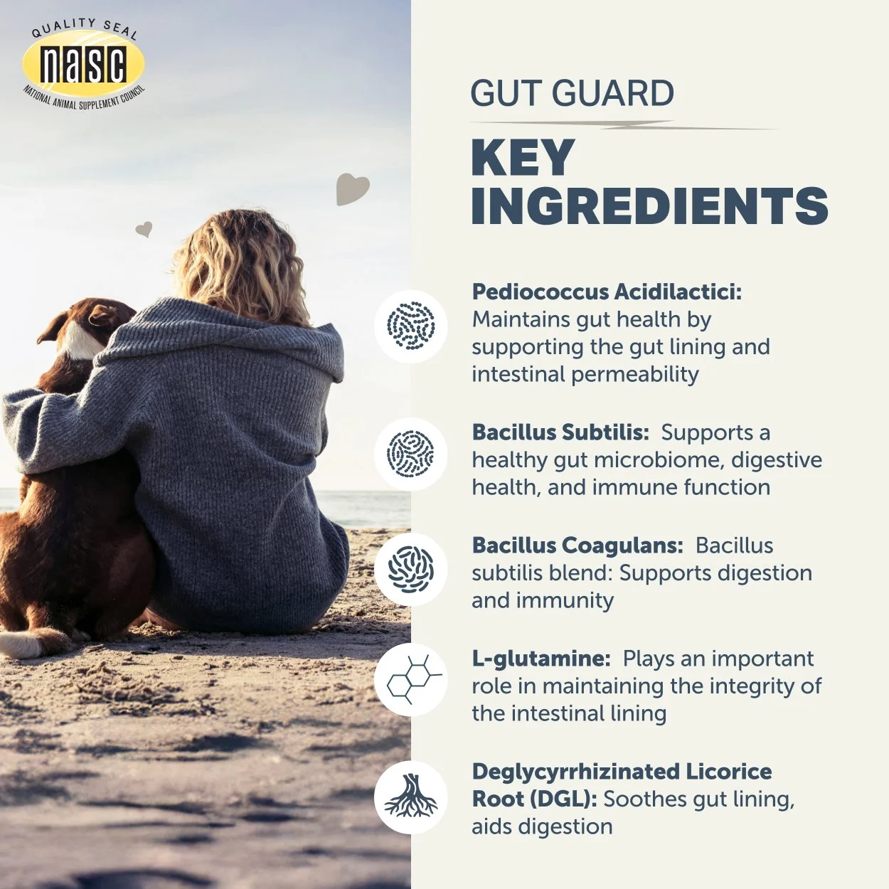 Gut Guard_Key Ingredients_2500x2500.jpg