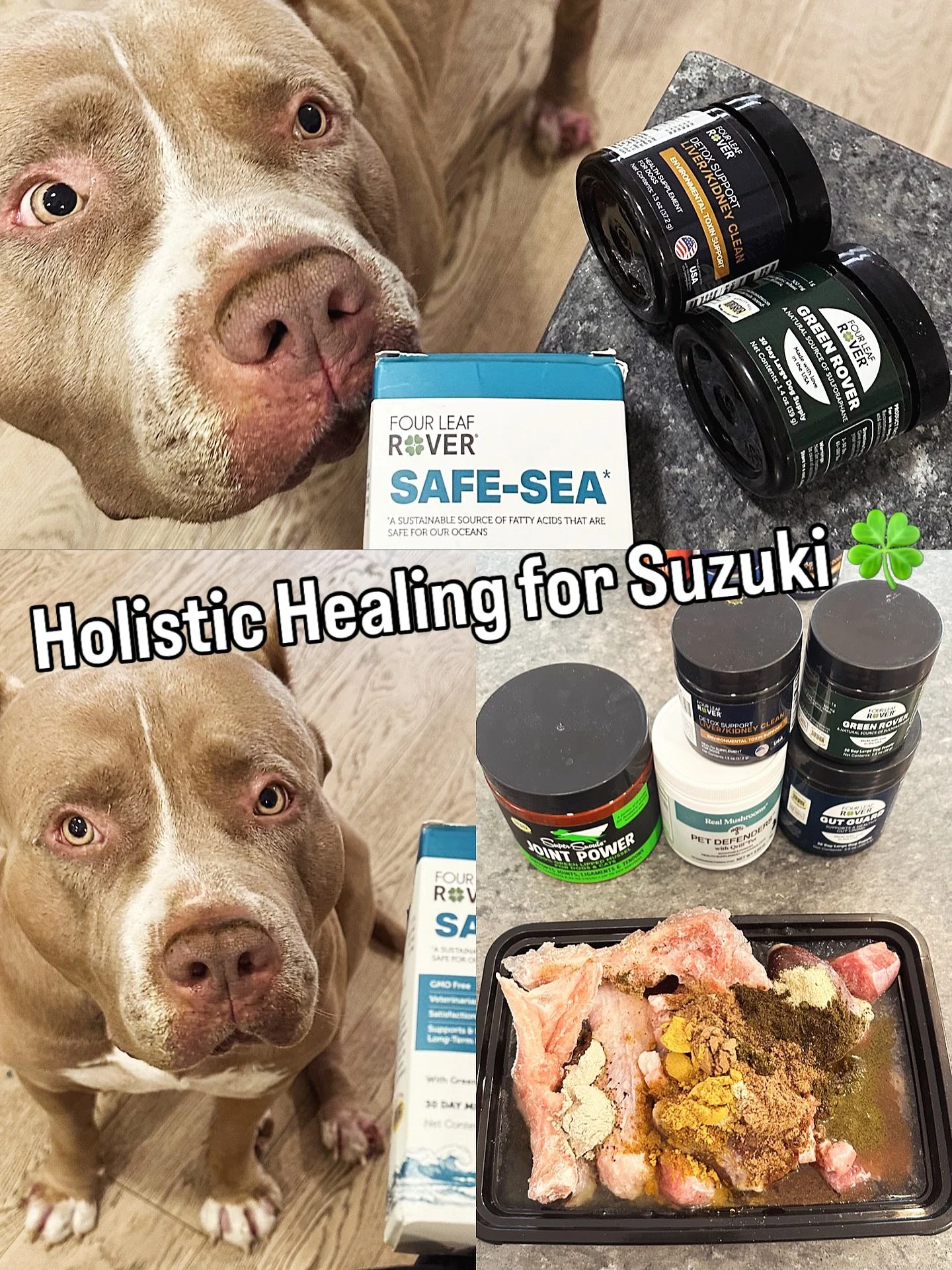 Suzuki received a super special package from Ruby that was filled with incredible healing supplements. We added everything into his breakfast this morning, and knowing he&rsquo;s getting exactly the medicine his body needs brings us so much comfort r