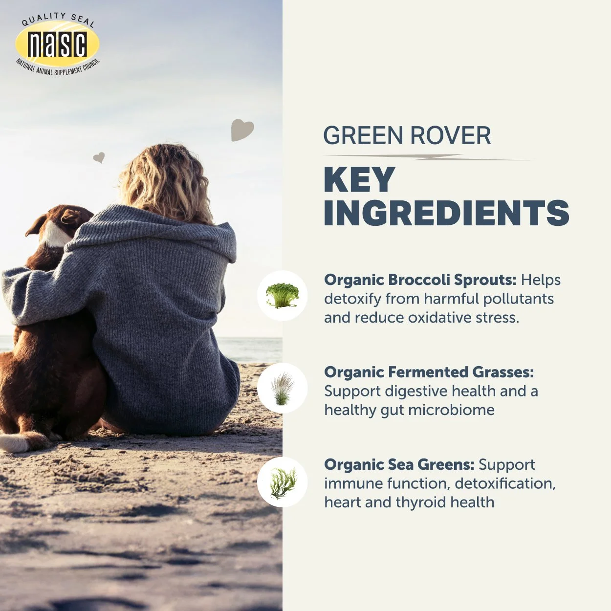 Green Rover_Key Ingredients_2500x2500.jpg