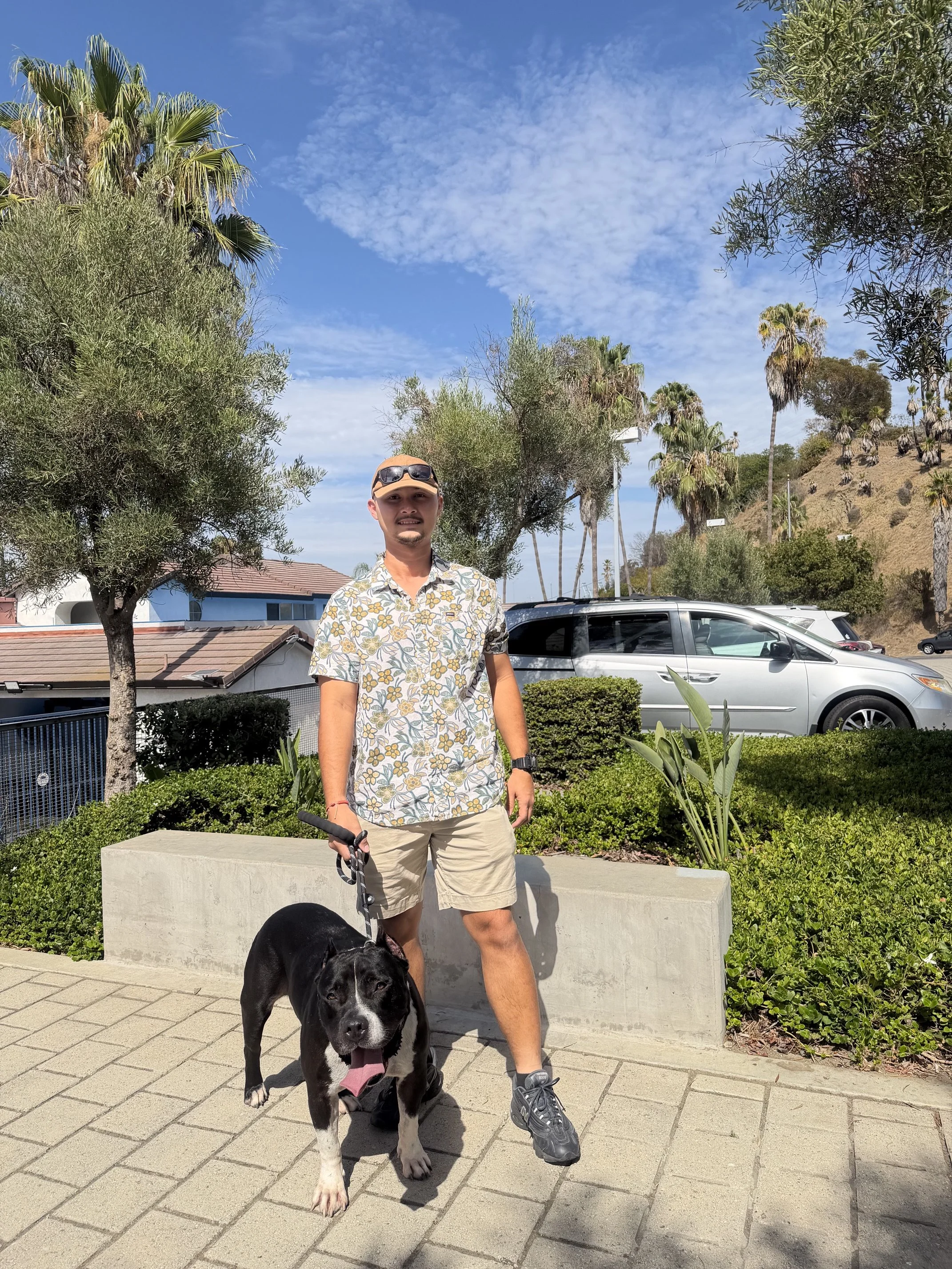 Happy's Rescue Day from San Pedro Harbor Shelter