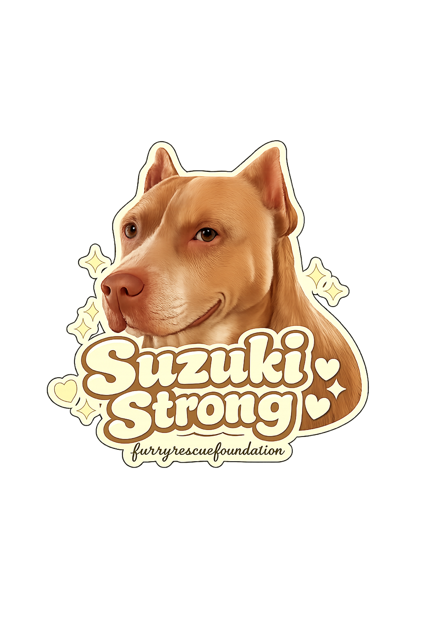 Suzuki sticker.PNG