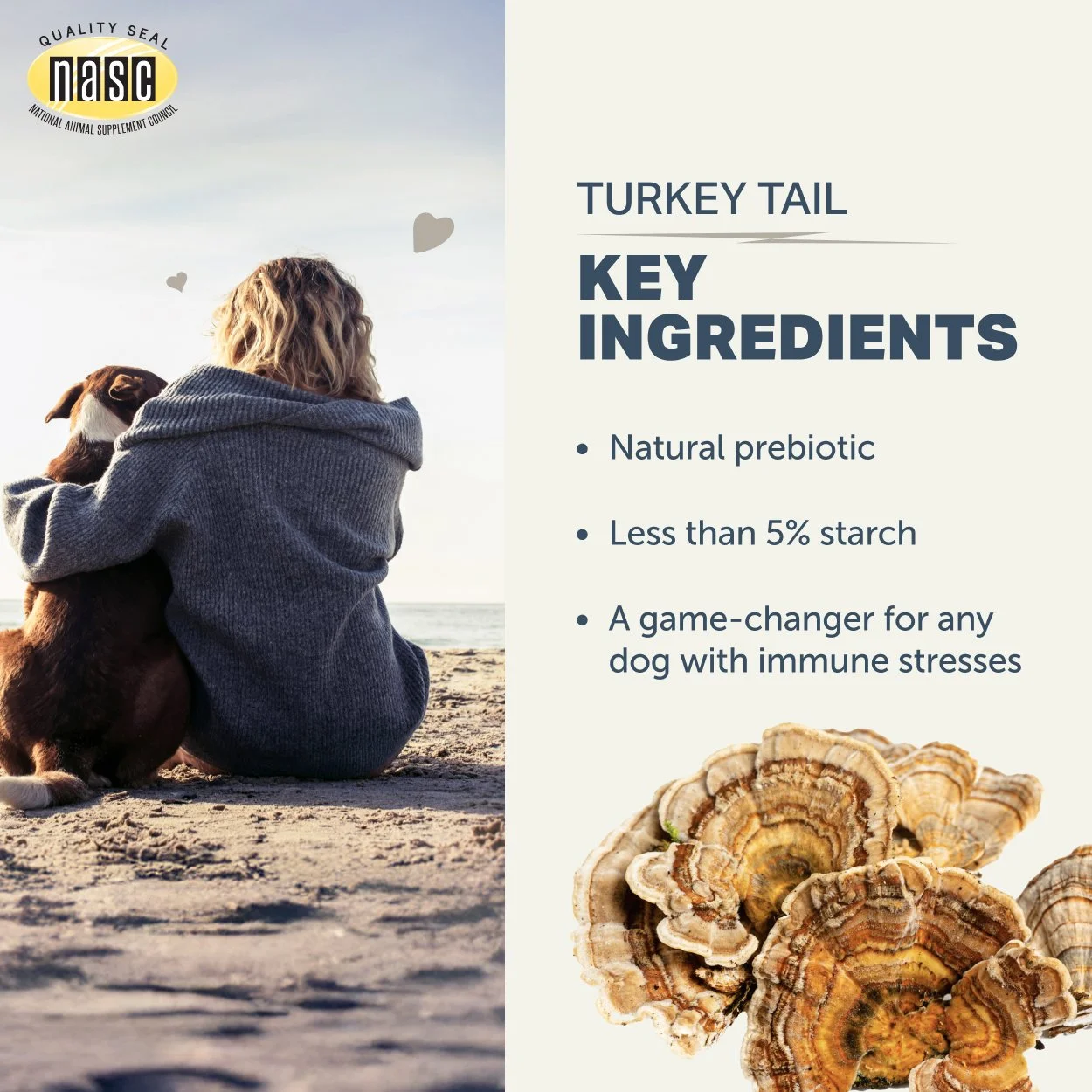 Turkey Tail_Key Ingredients_2500x2500.jpg