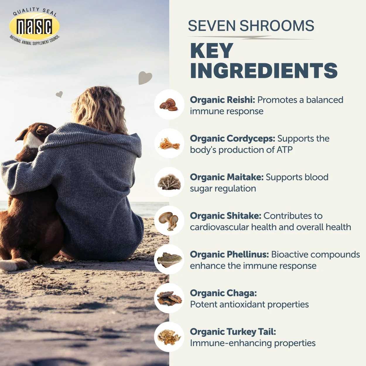 Seven Shrooms_Key Ingredients_2500x2500.jpg